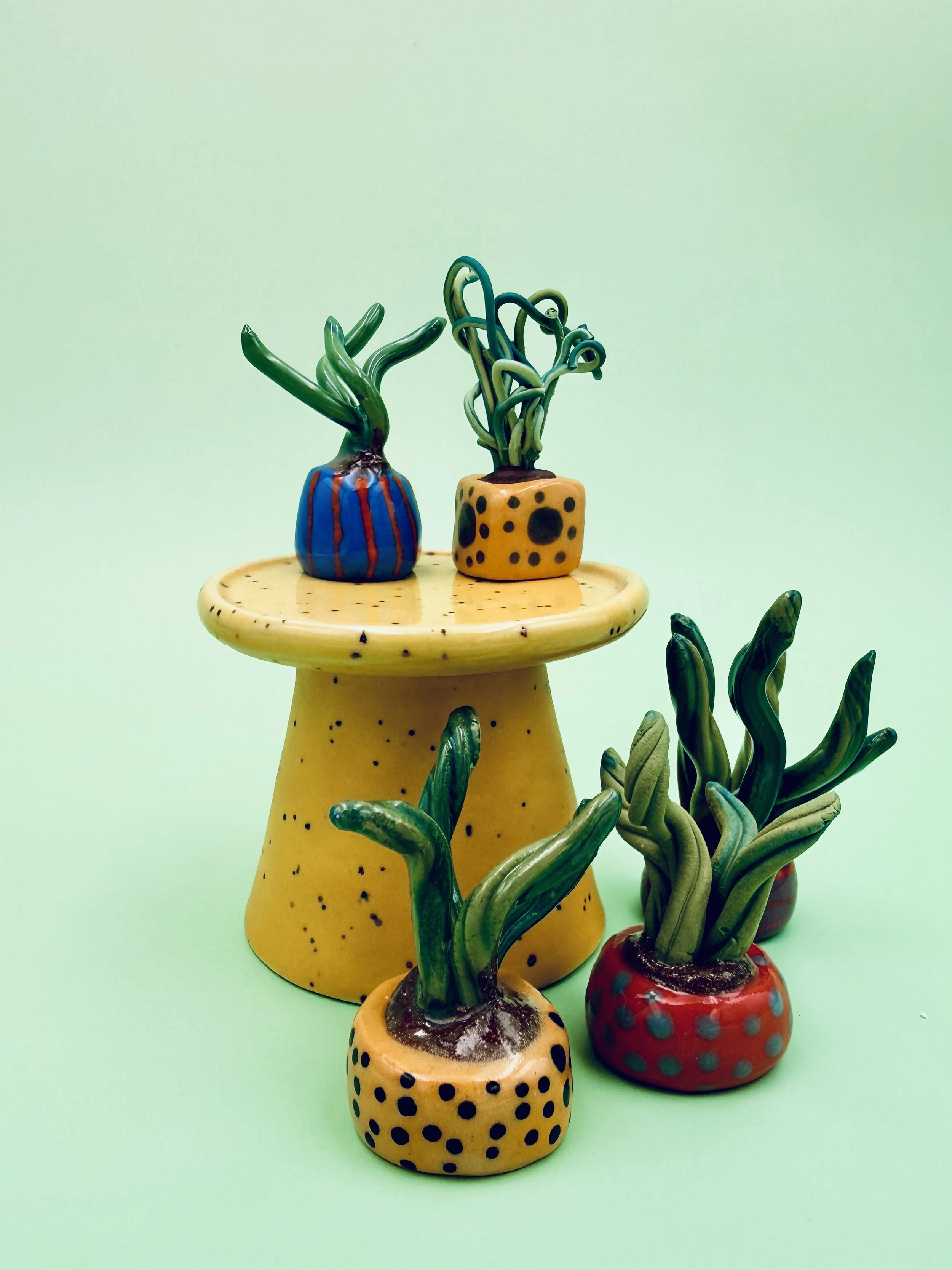 ceramic miniature potted plants in colorful pots