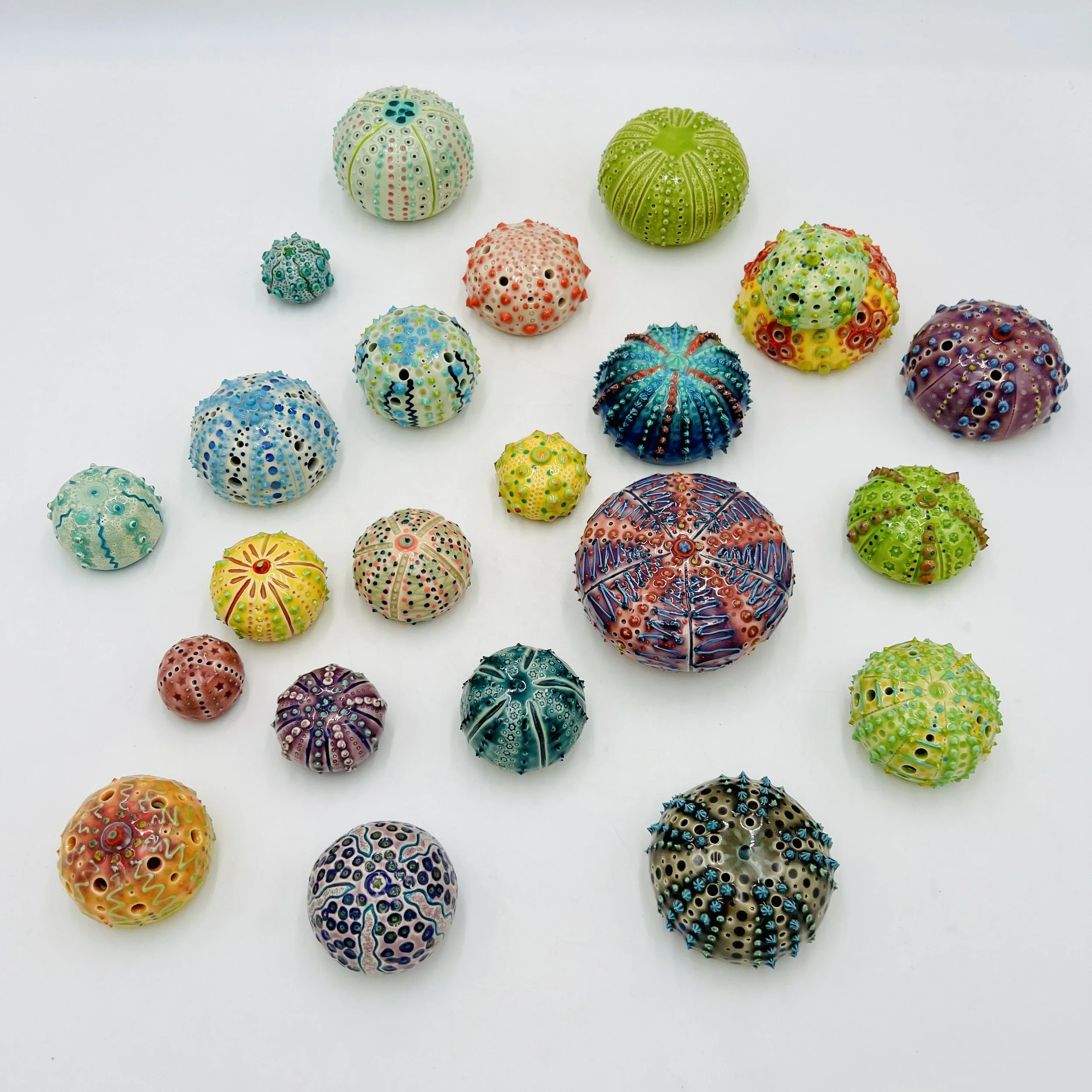 A group of colorful, intricately decorated sea urchin shells arranged on a white background.