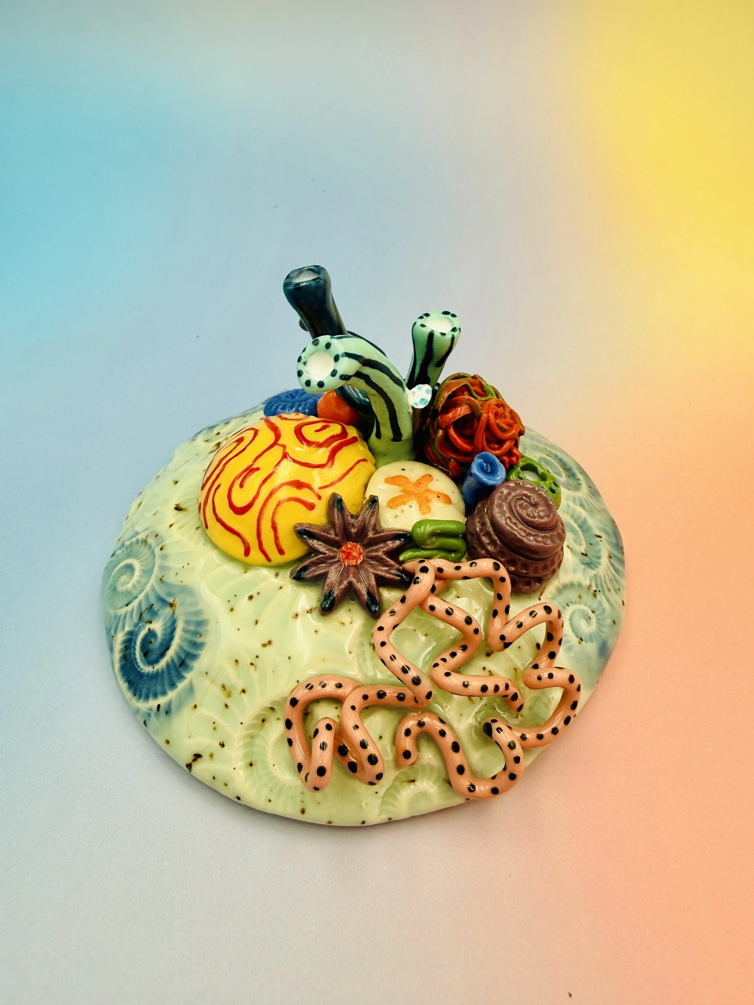 Colorful, textured clay sculptures resembling coral reefs arranged on a gradient background. Each piece has vibrant, intricate details, evoking a sense of ocean life.
