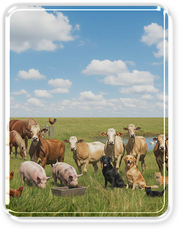 Group of farm animals including cows, pigs, goats, chickens, and a dog in a green field under a partly cloudy sky.