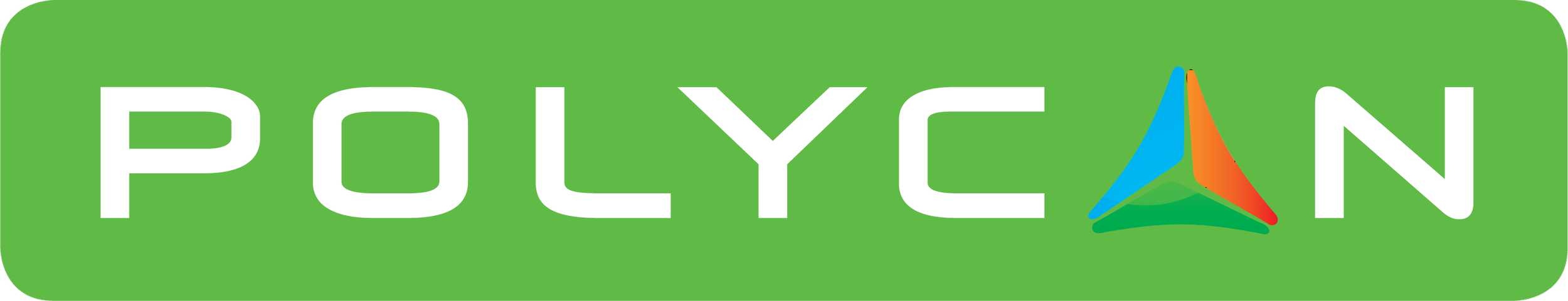 PUYCON logo on a green background