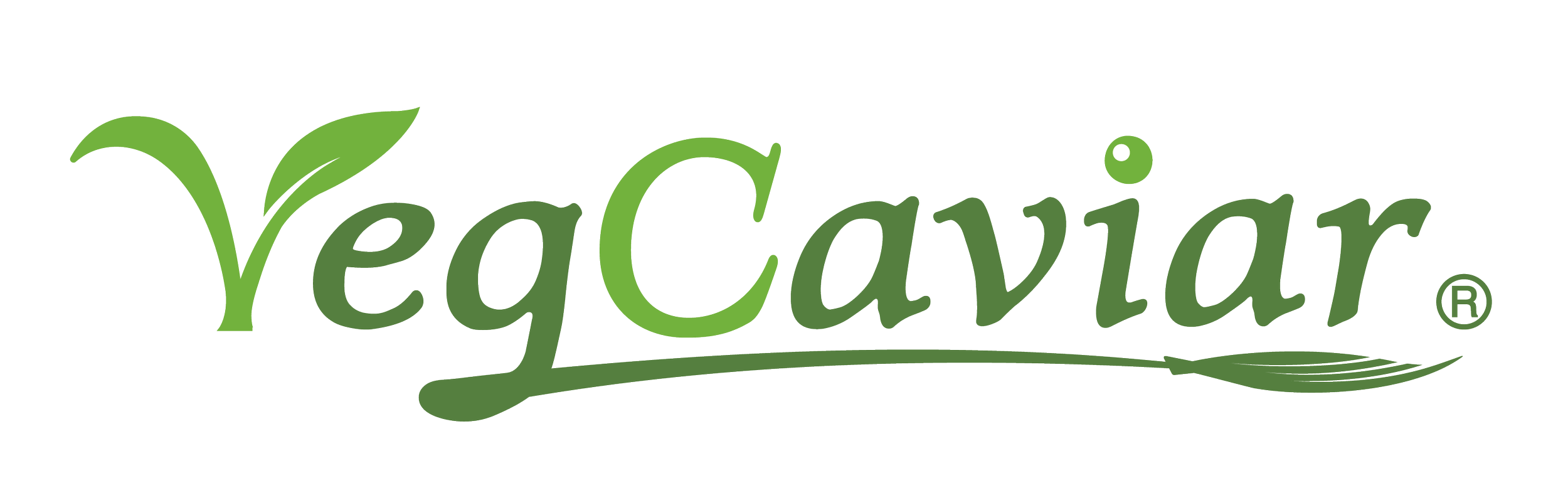 VeyVavior logo in green with a plant sprout integrated into the letter V.