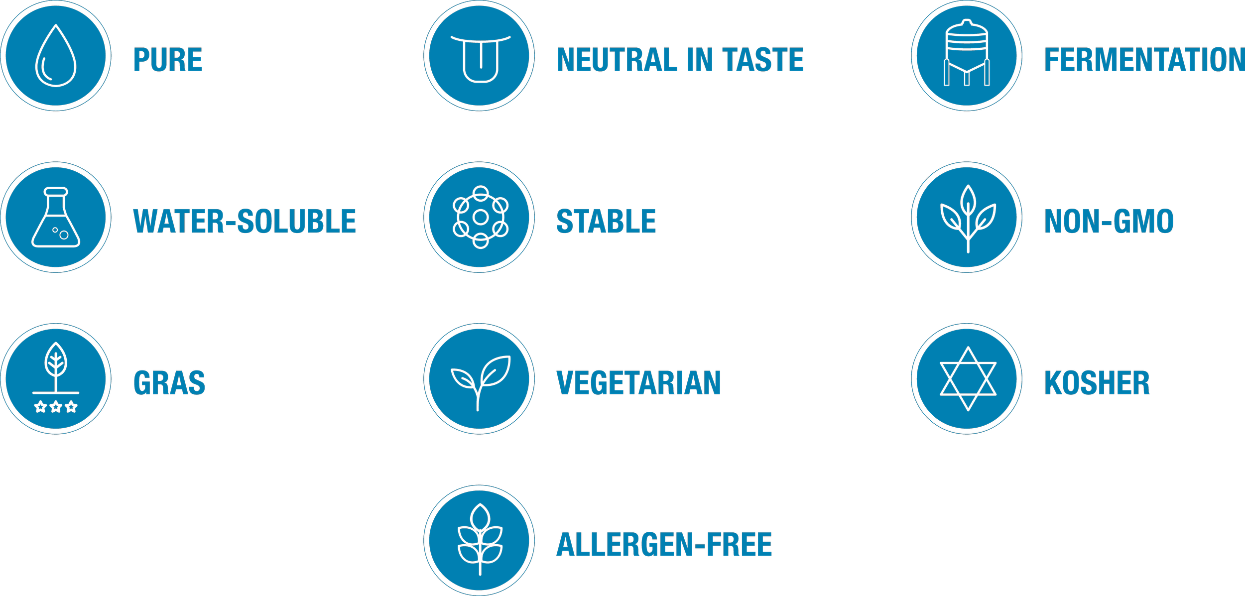 A color chart with icons and text indicating characteristics: pure, neutral in taste, fermentation, water-soluble, stable, non-GMO, gras, vegetarian, kosher, allergen-free.
