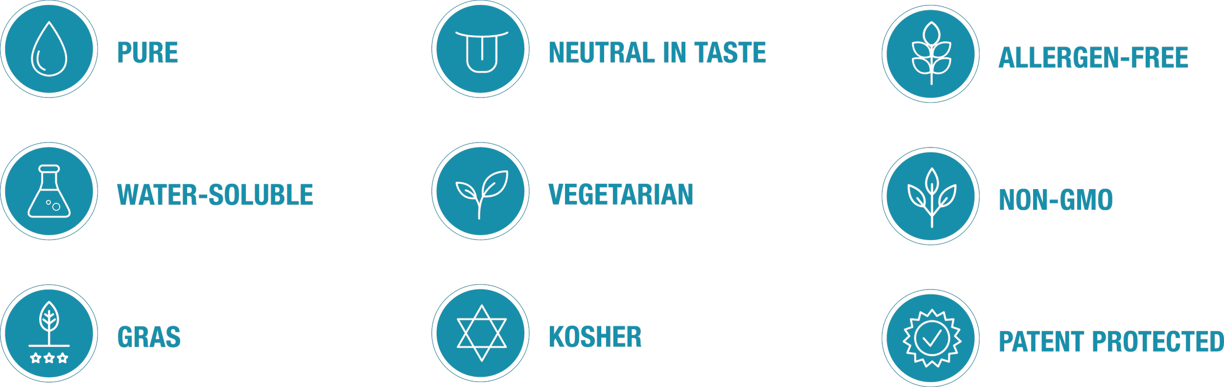 Icons with labels indicating product features: pure, water-soluble, vegetarian, grass, neutral in taste, allergen-free, non-GMO, kosher, and patent protected.