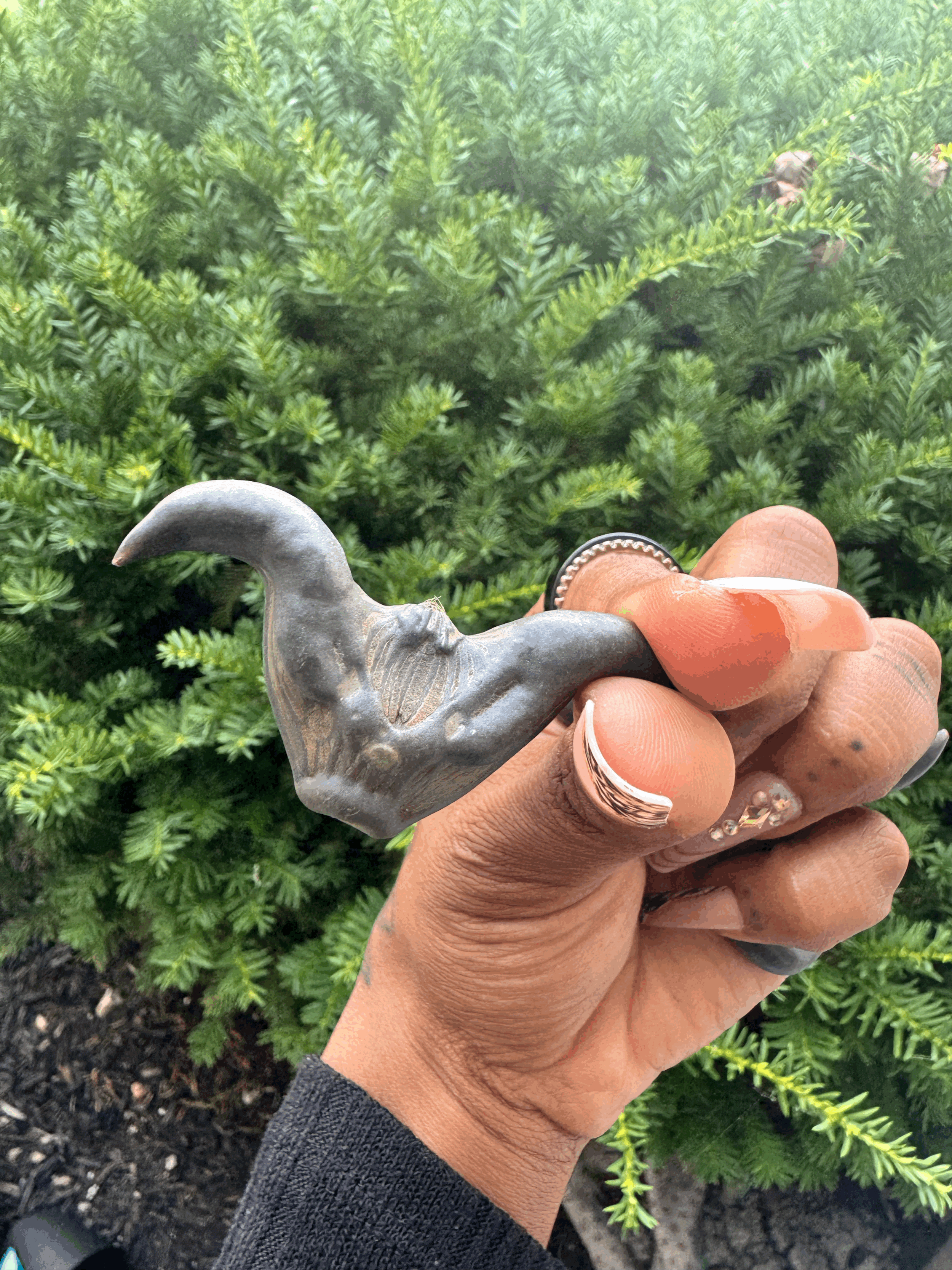 IMG_3626oPYAe1.gif