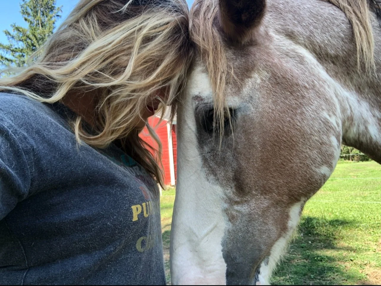 Women's empowerment expert Dr. Alice Atalanta gently touching foreheads her mustang mare Pippi, who is her inspiration for women's empowerment and feeling joyful, free, and deeply at peace.