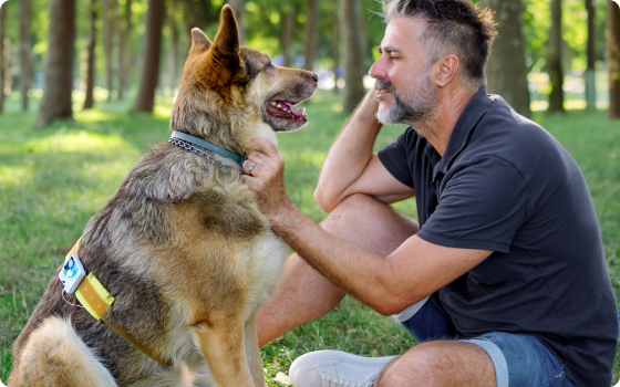 A man with a beard sitting on the grass in a park, smiling and looking at a large German Shepherd dog, which is sitting and wearing a service dog vest, as they enjoy a sunny day outdoors.