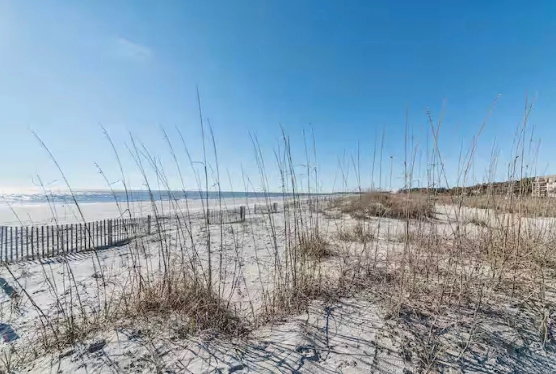Beach scene with sand dunes, dried grass, a wooden fence, and a blue sky.