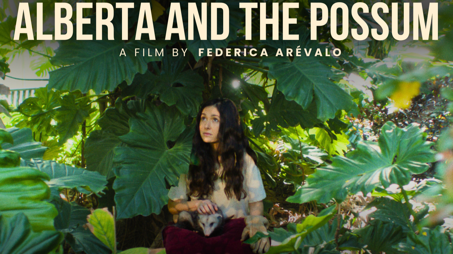 ALBERTA & THE POSSUM (short)