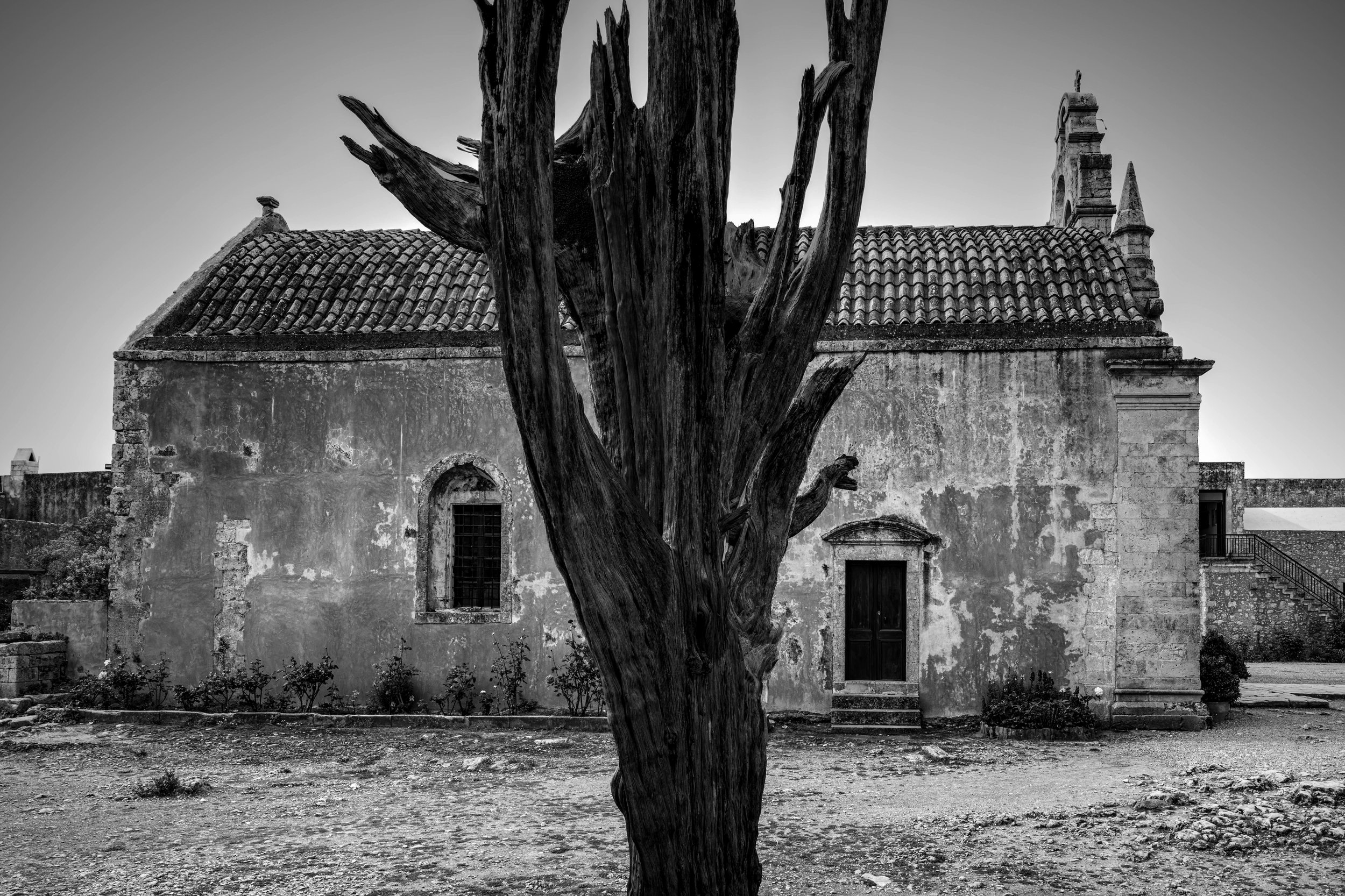 An old, weathered building with a tiled roof, arched windows, and a wooden door, partially obscured by a large, gnarled tree in front.