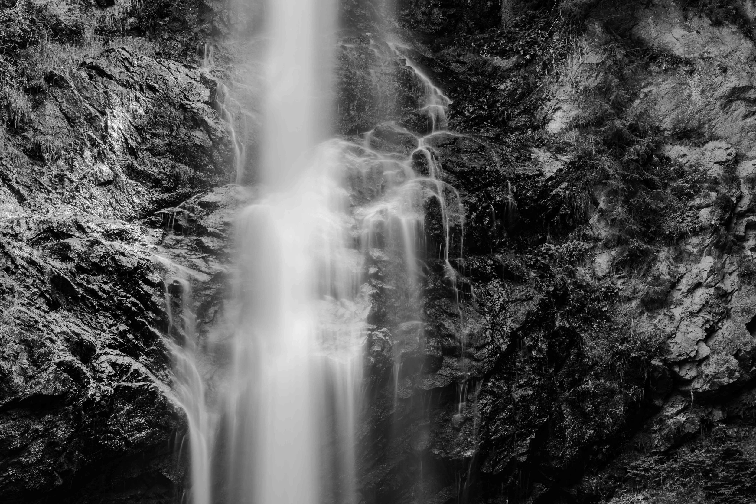 Black and white photo of a waterfall flowing down rugged rocks surrounded by vegetation.