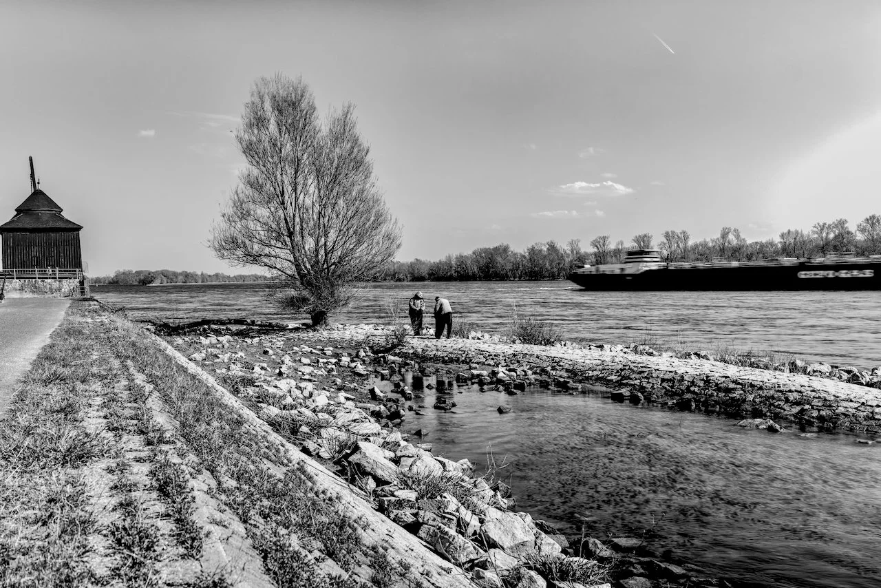 Black and white photo of a riverside with a large tree, two people standing near the water, a barge passing by on the river, and a small building on the left.