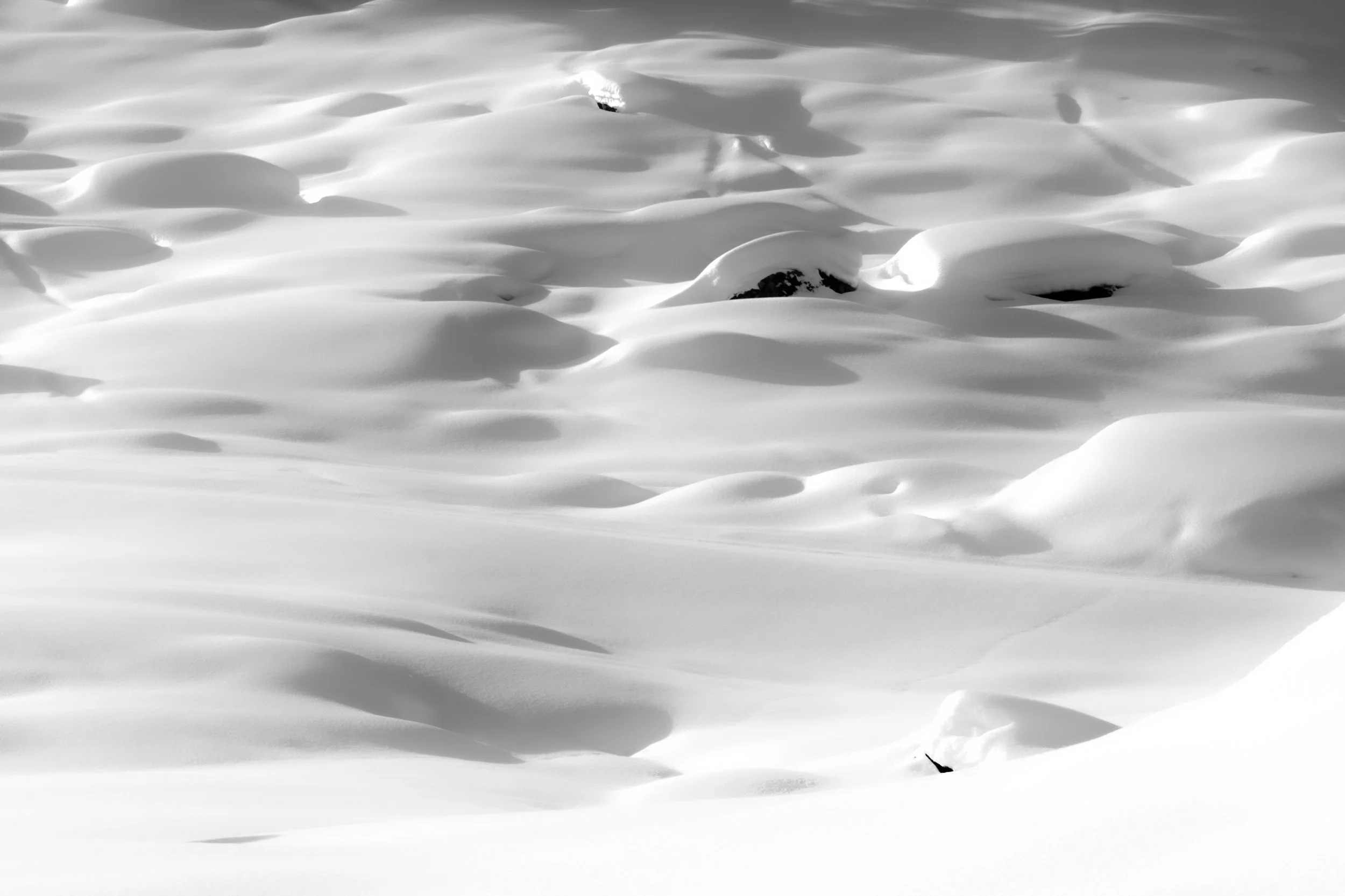 DSC00741-Verbessert-RR.jpg