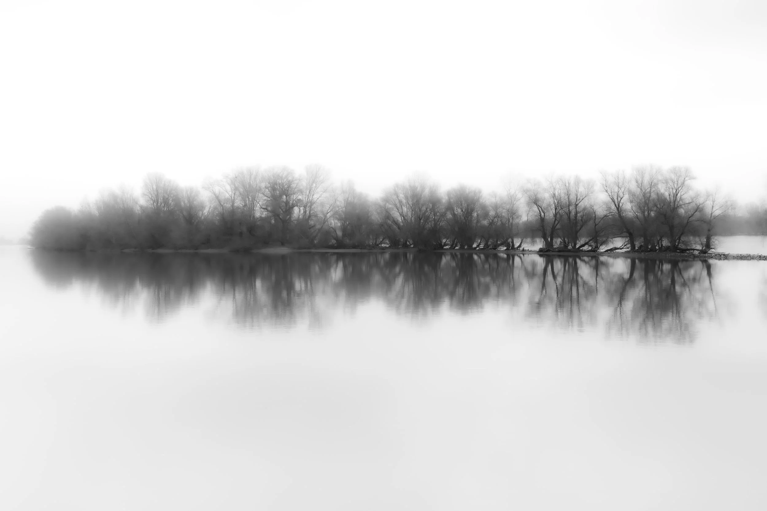 Black and white image of trees on an island reflected in a calm body of water.
