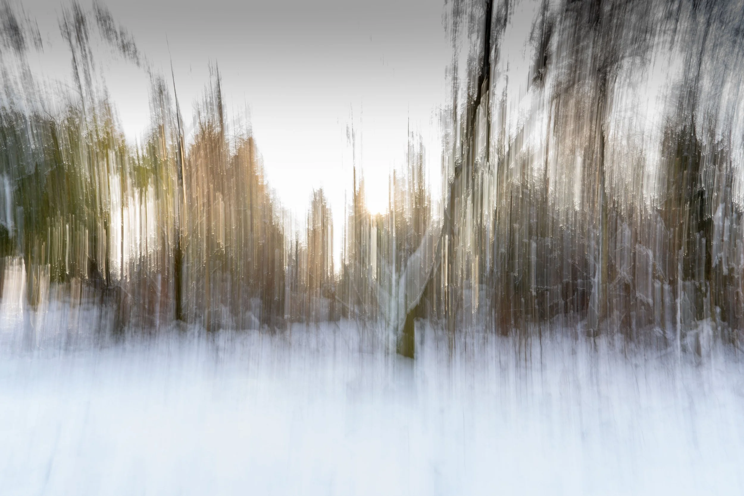 Blurry photo of a road with trees on either side and sunlight in the background.