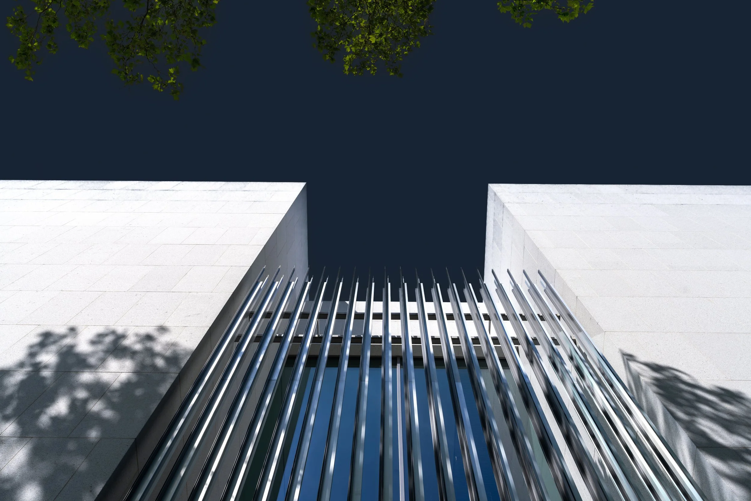 Low-angle view of modern architectural building with white exterior walls, metal slats on the ground, and trees casting shadows on the pavement, against a clear dark sky.