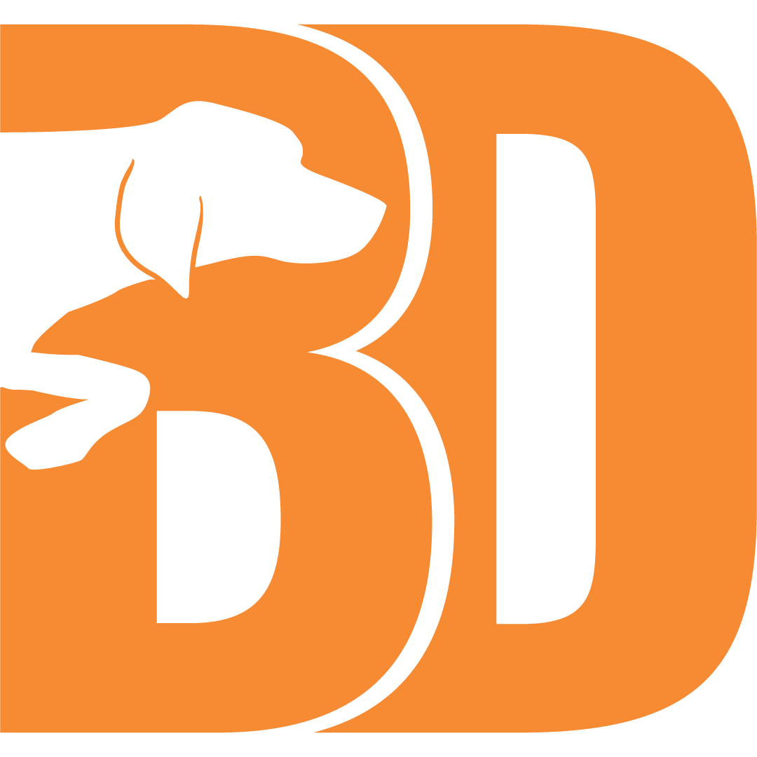 Bird Dog Construction Consulting