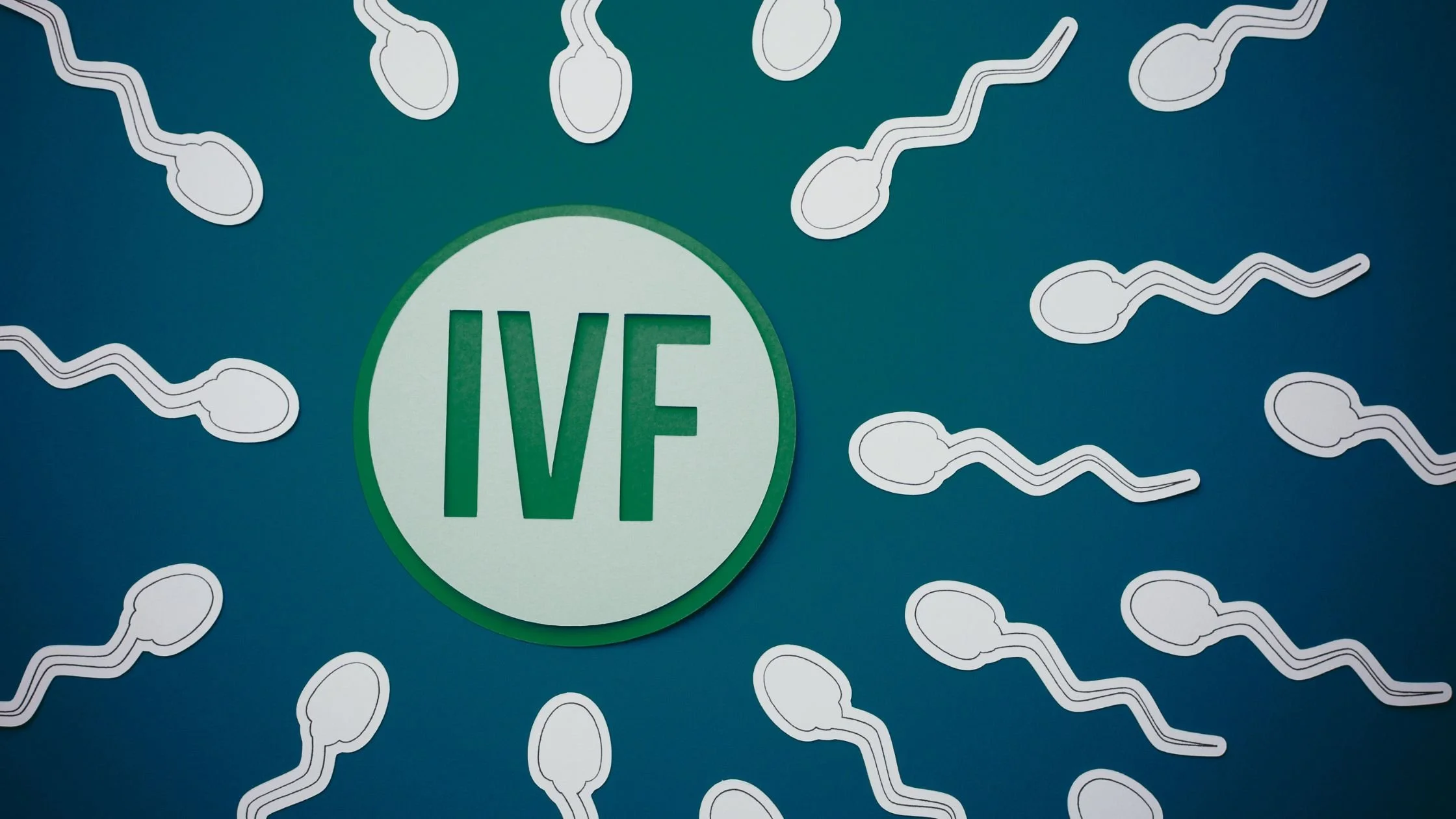What To Do After Failed IVF: Your Next Steps When a Cycle Has Not Worked