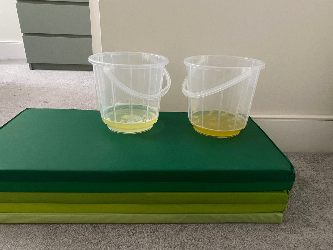 Two Kambo purge buckets on a green ceremony mat during a natural fertility treatment session at The Kambo Clinic for Fertility
