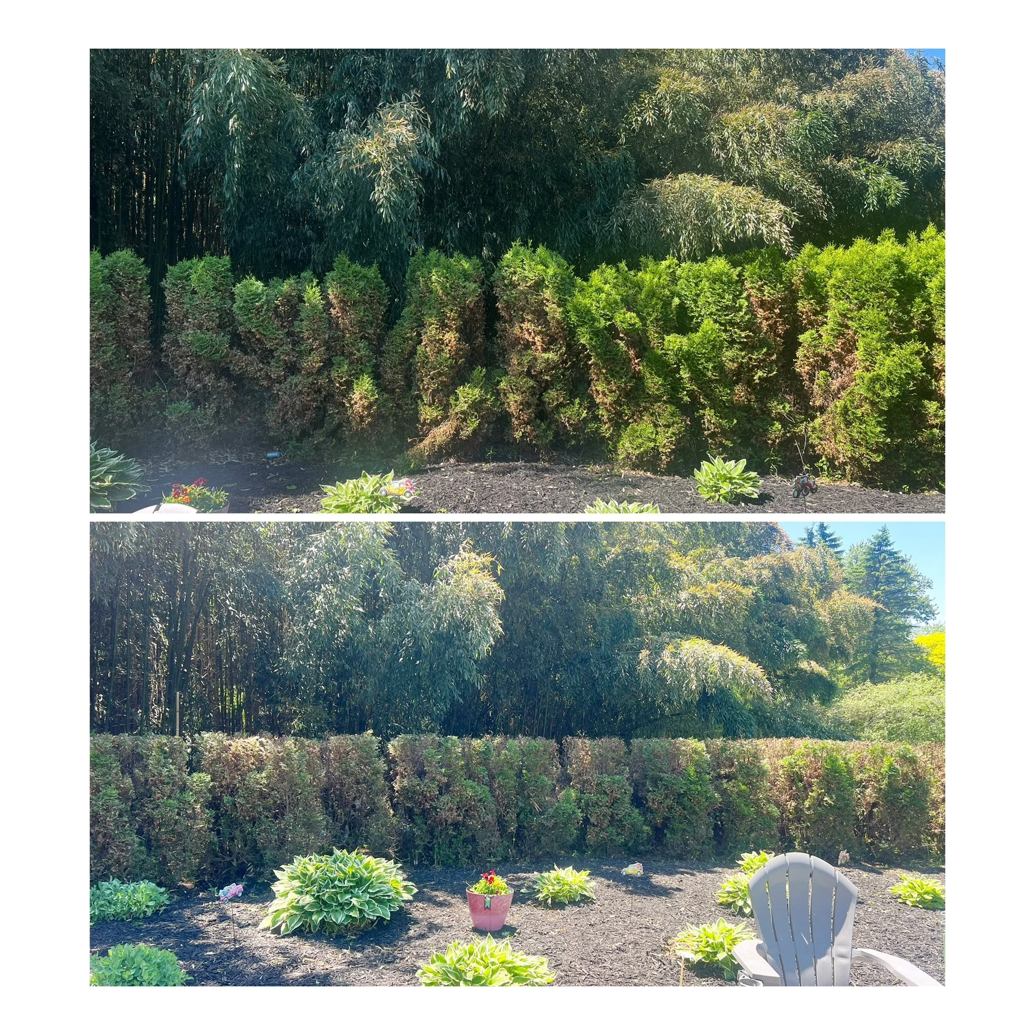 Seasonal Cleanups