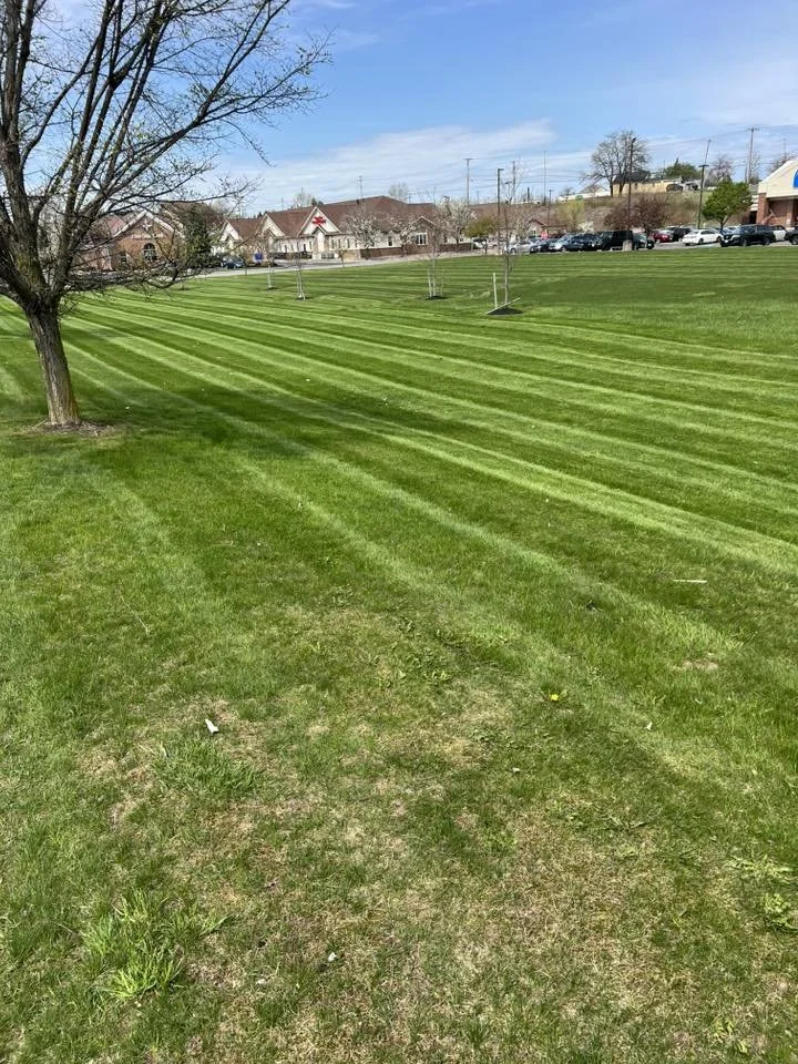 Weekly Yard Maintenance