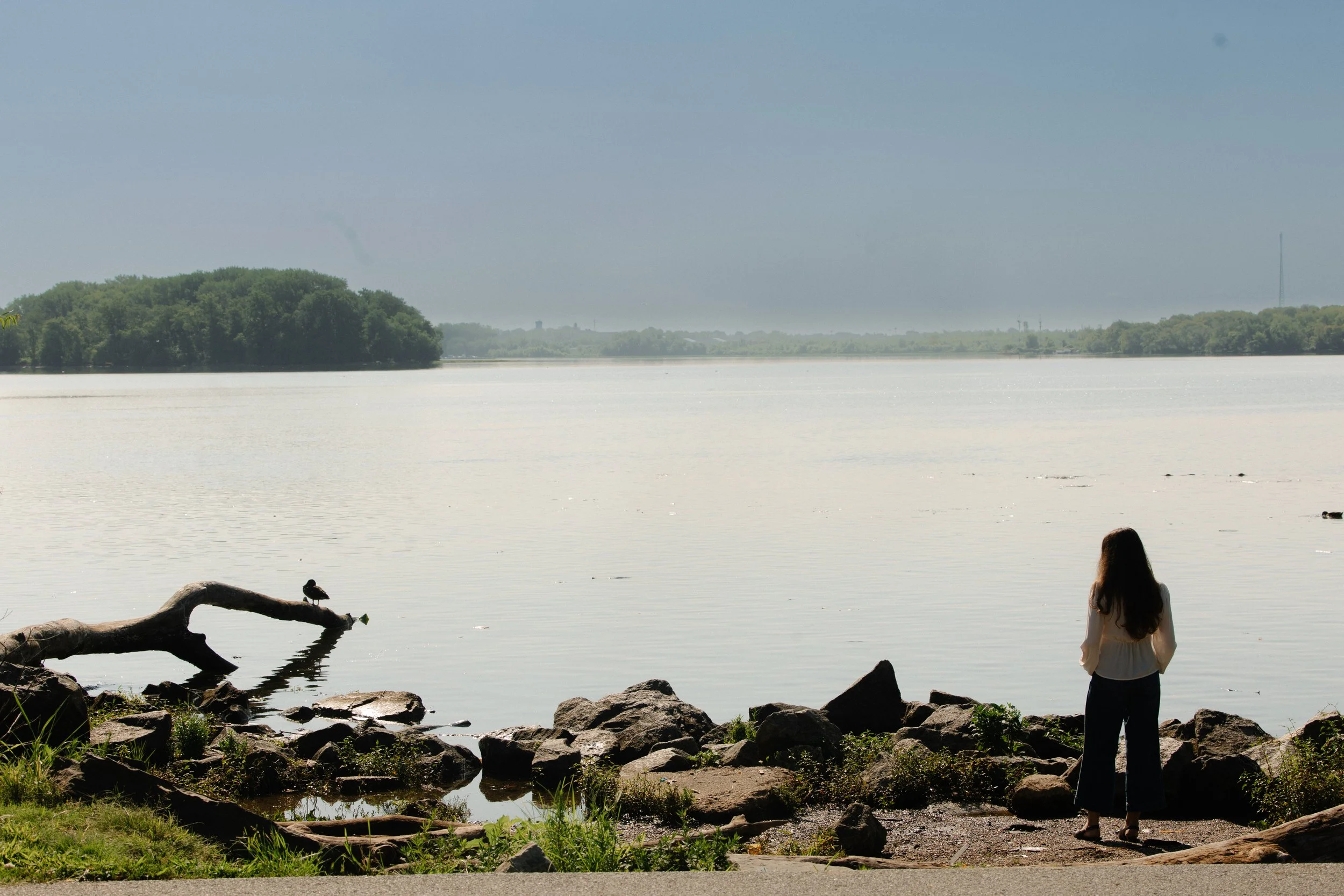 A woman standing on rocks by a lake, looking at the water, with a bird perched on a fallen tree branch nearby and a person in the water with their head just visible. In the background, there is a tree-lined shoreline with a hill and a tall radio tower in the distance under a clear, blue sky.