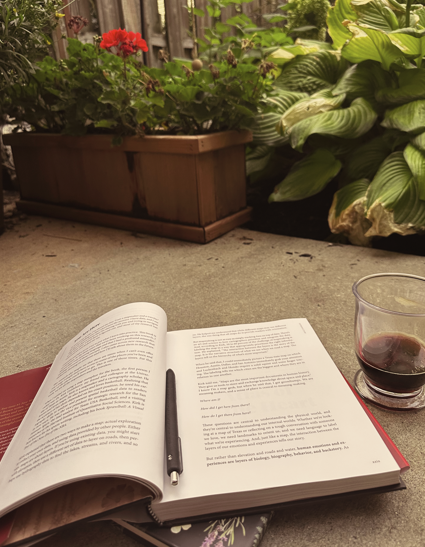 A reading table with a book open, a pen on the book, and a glass of red wine on the right side. In the background, there's a potted plant with red flowers and large green leaves. The scene appears to be in a cozy indoor or outdoor setting with natural ambient lighting.