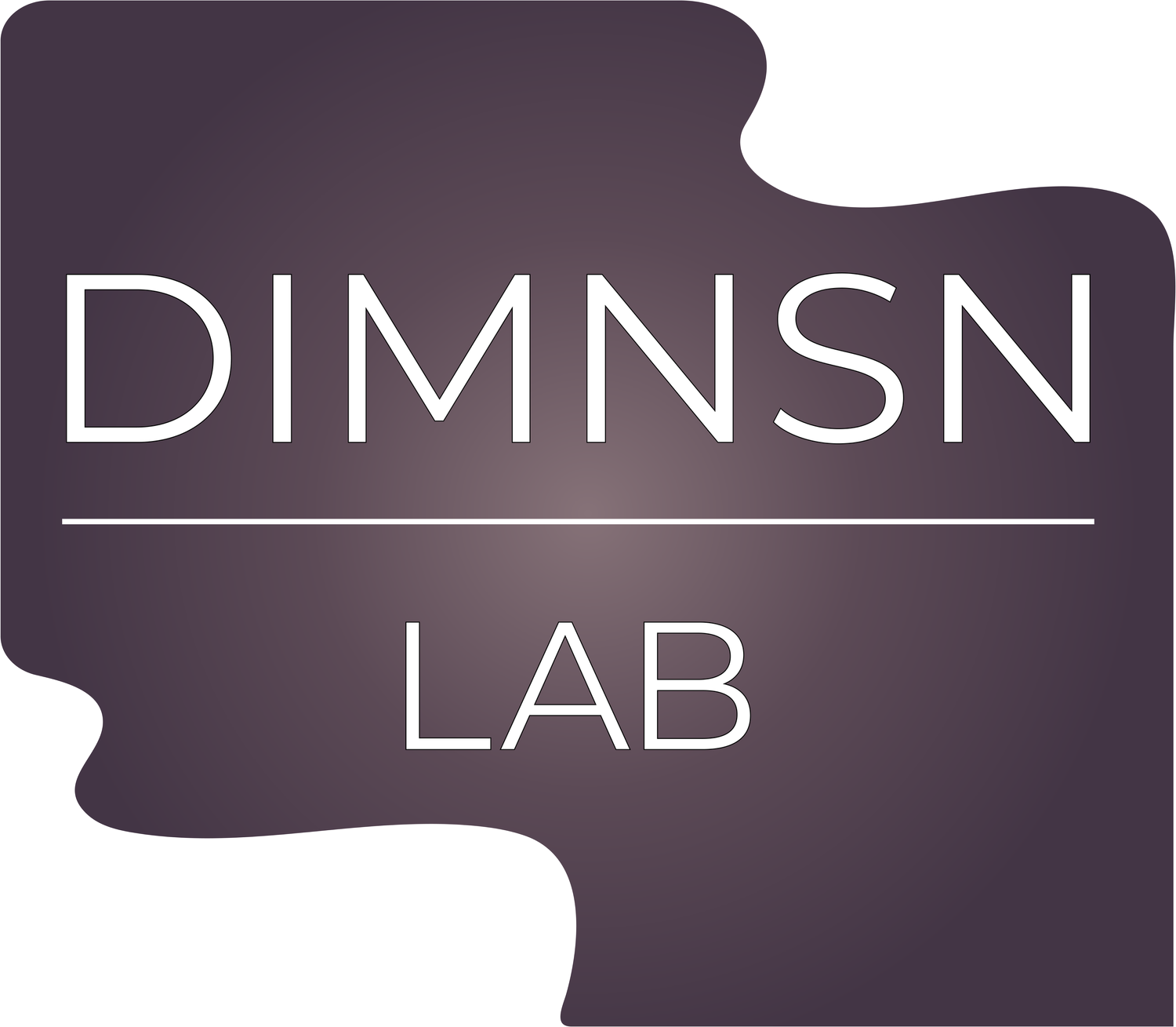 DIMNSN LAB