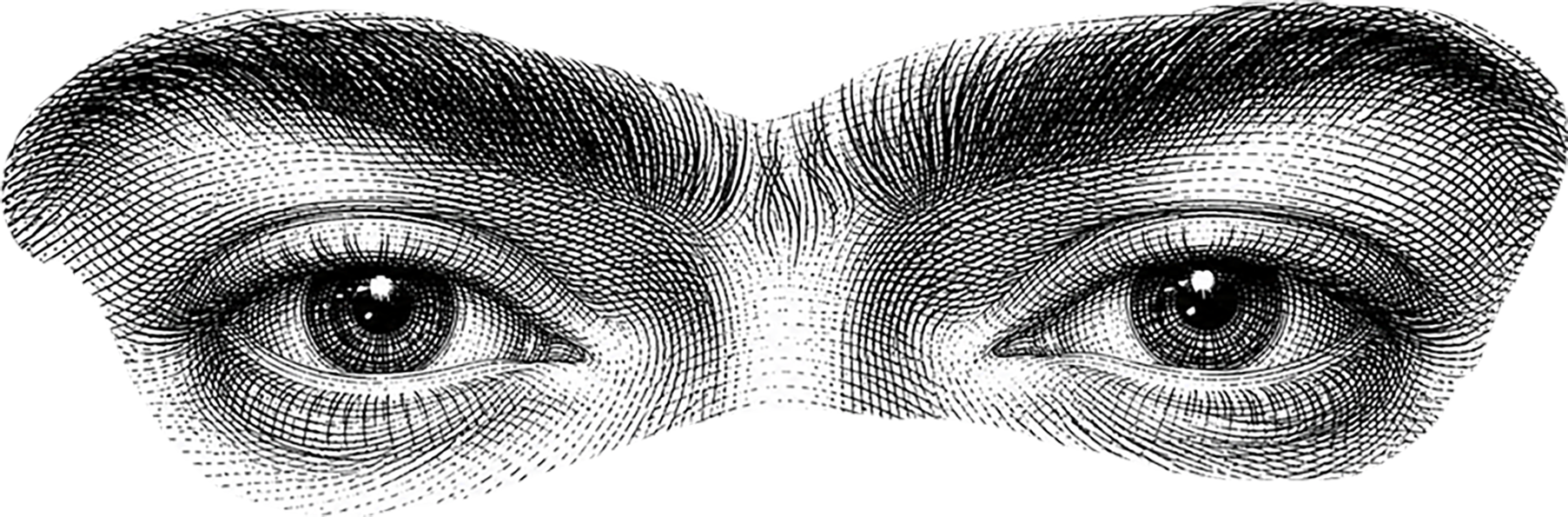 Change how you see the world with Frida's Brow.