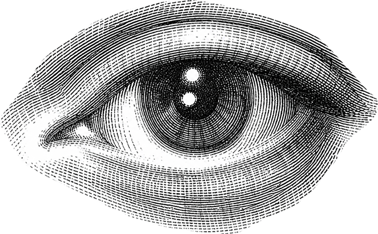 Black and white illustration of a human eye with detailed lines and shading depicting discovery and curiosity of Frida's Brow.