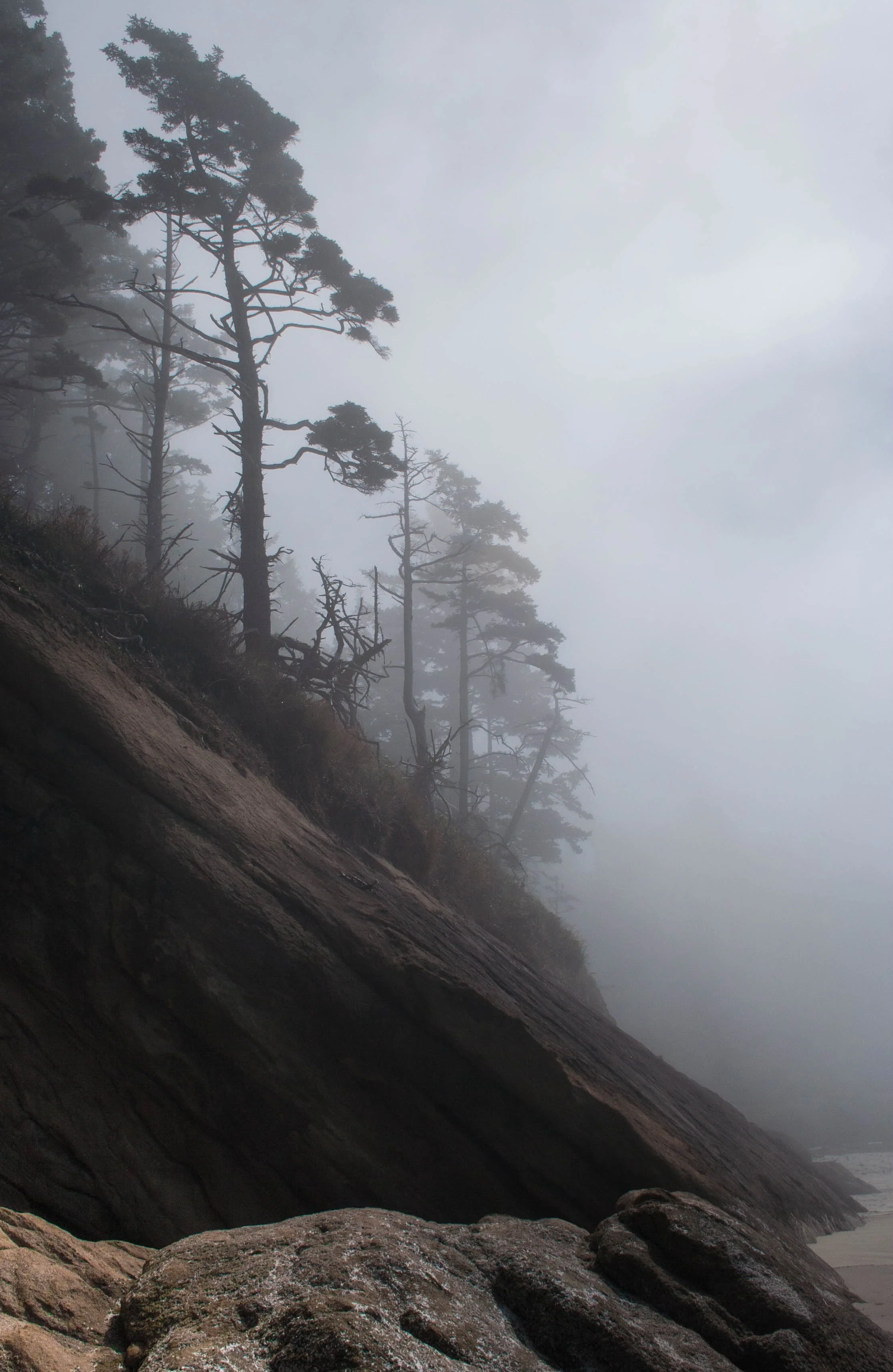 Morning Fog, Oregon