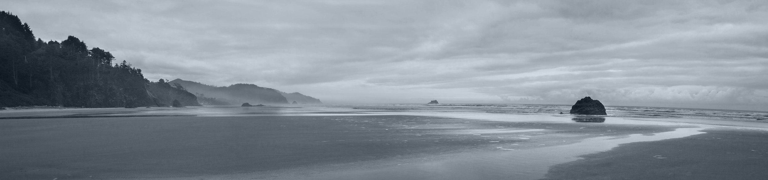 Oregon Coast - Selenium Toned