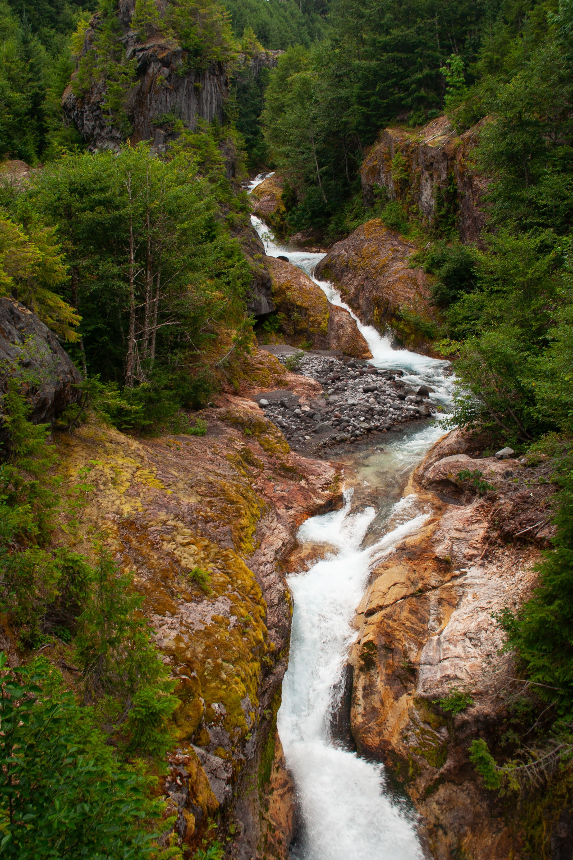 Forest Falls, Washington