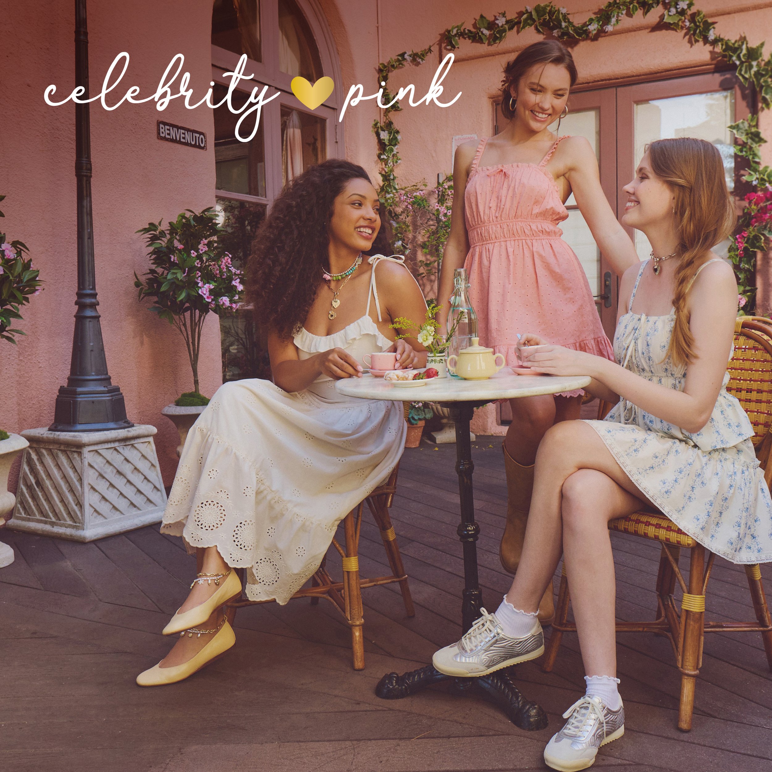 celebrity-pink-banner V1a.jpg