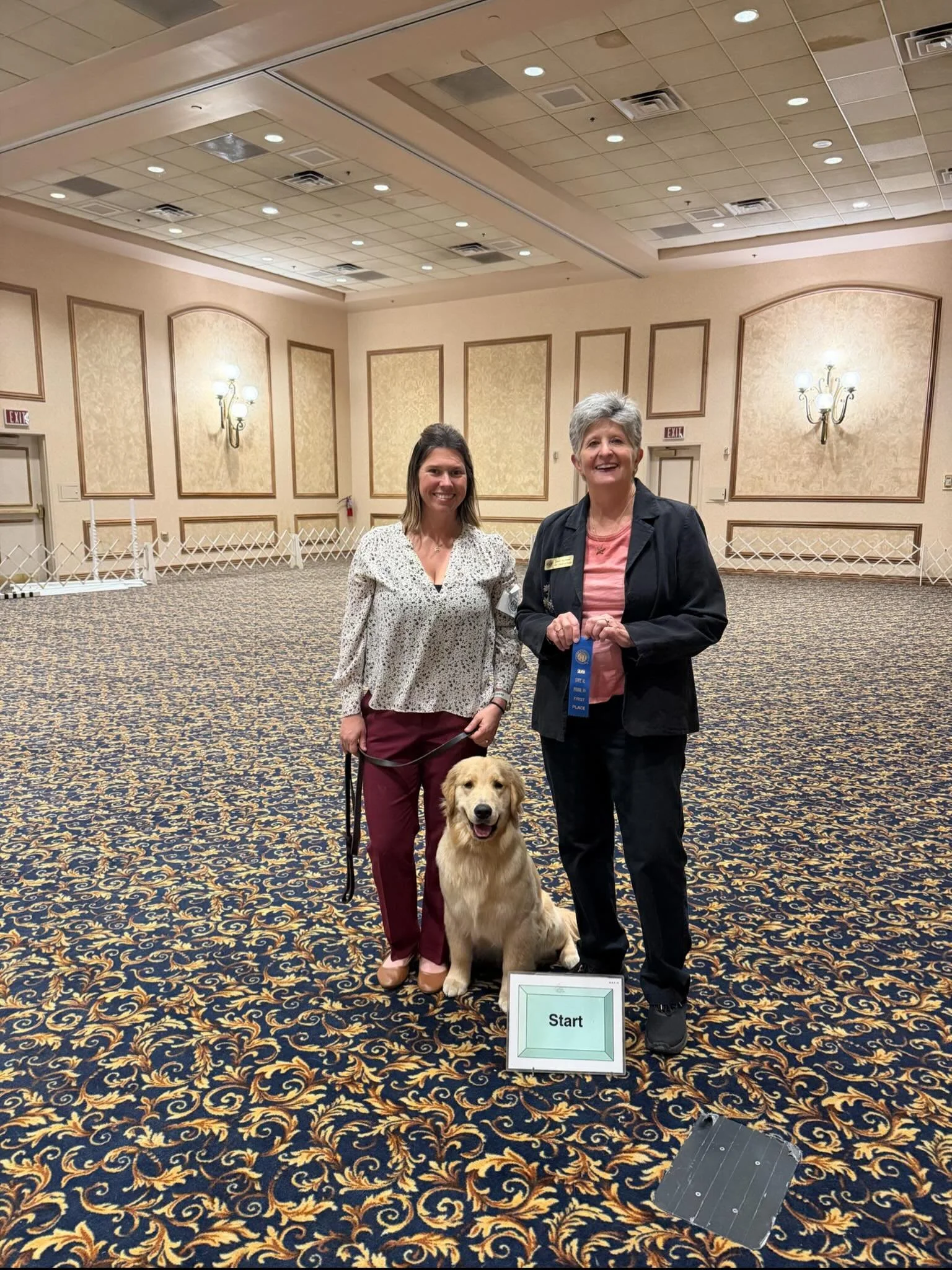 Get started with dog training&hellip;. Working SoCal areas in person and can offer virtual training sessions.

Why Kirkham K9 Training:
1. I show my dogs in obedience and rally and have titles where treats cannot be used, loose leash walking is a mus