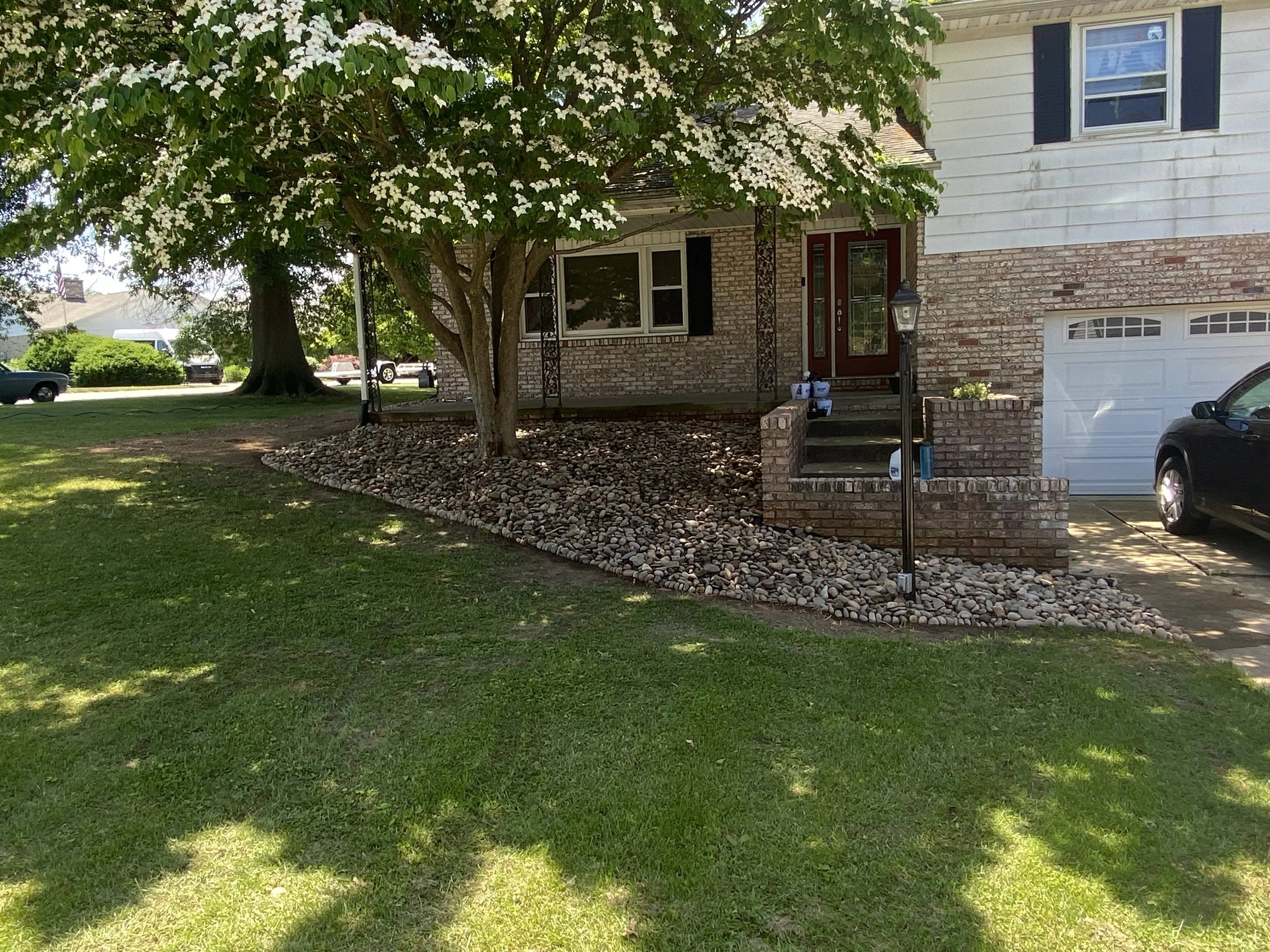 Front yard of a house with a large flowering tree, a brick pathway, and a nicely landscaped front yard with rocks.