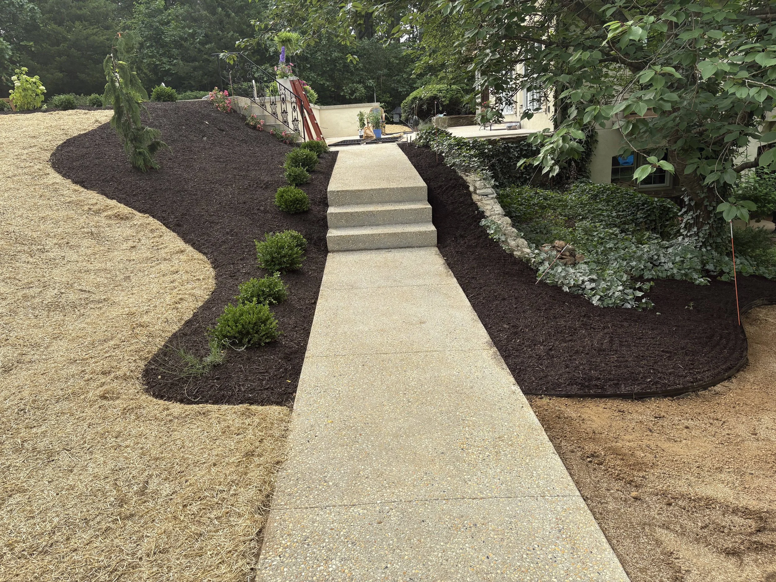 A concrete walkway leading to a house entrance with stairs and black wrought iron railings, surrounded by landscaped garden with small bushes, trees, and various plants.