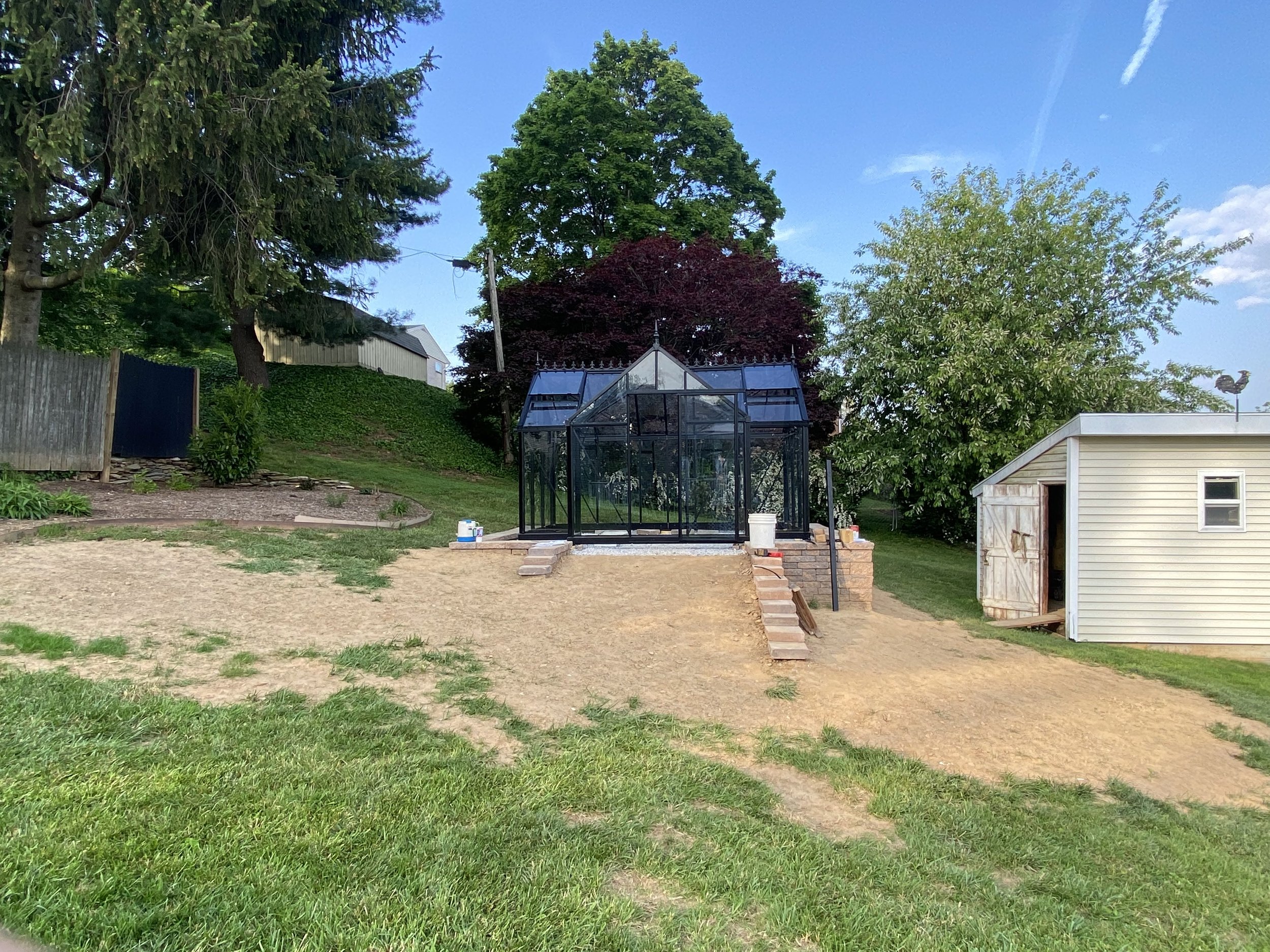 A backyard with green grass, trees, a greenhouse, a small shed, and a house, under a blue sky with a few clouds.