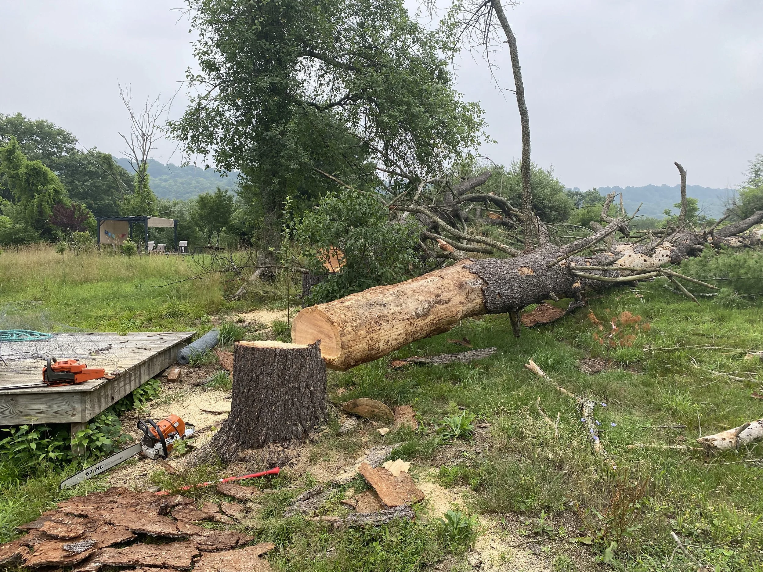 Fallen tree and broken branches in grassy area with outdoor furniture and tools, in a cloudy landscape with hills in the background.