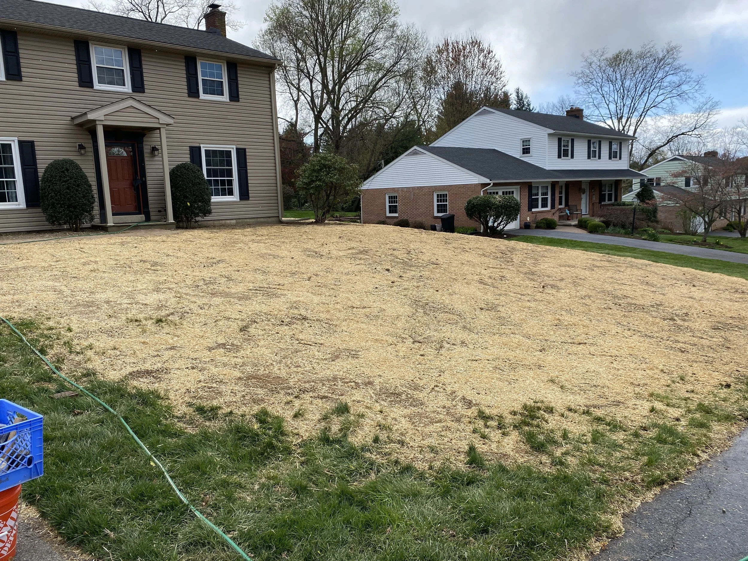 Lawn in front of beige and white houses, some trees, and a sidewalk in a suburban neighborhood.