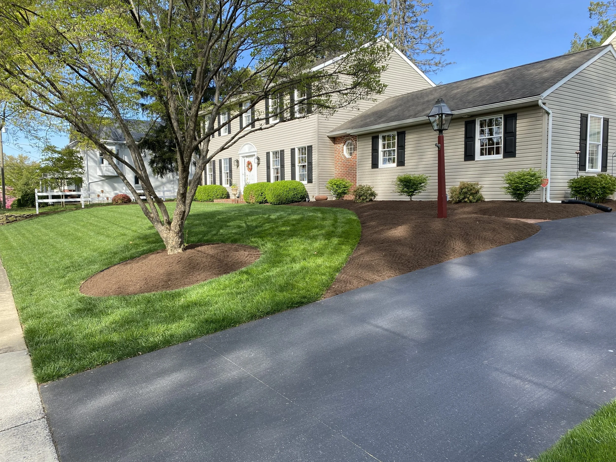 Front yard of a house with a tree, green lawn, mulch beds, bushes, and a blacktop driveway.