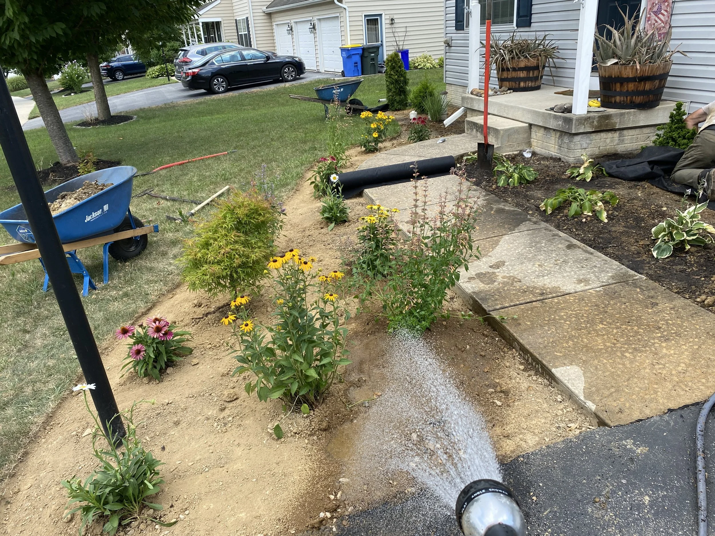 A residential front yard landscaping project with flower beds, a wheelbarrow, and gardening tools, showing ongoing yard work and planting near a house with vinyl siding.