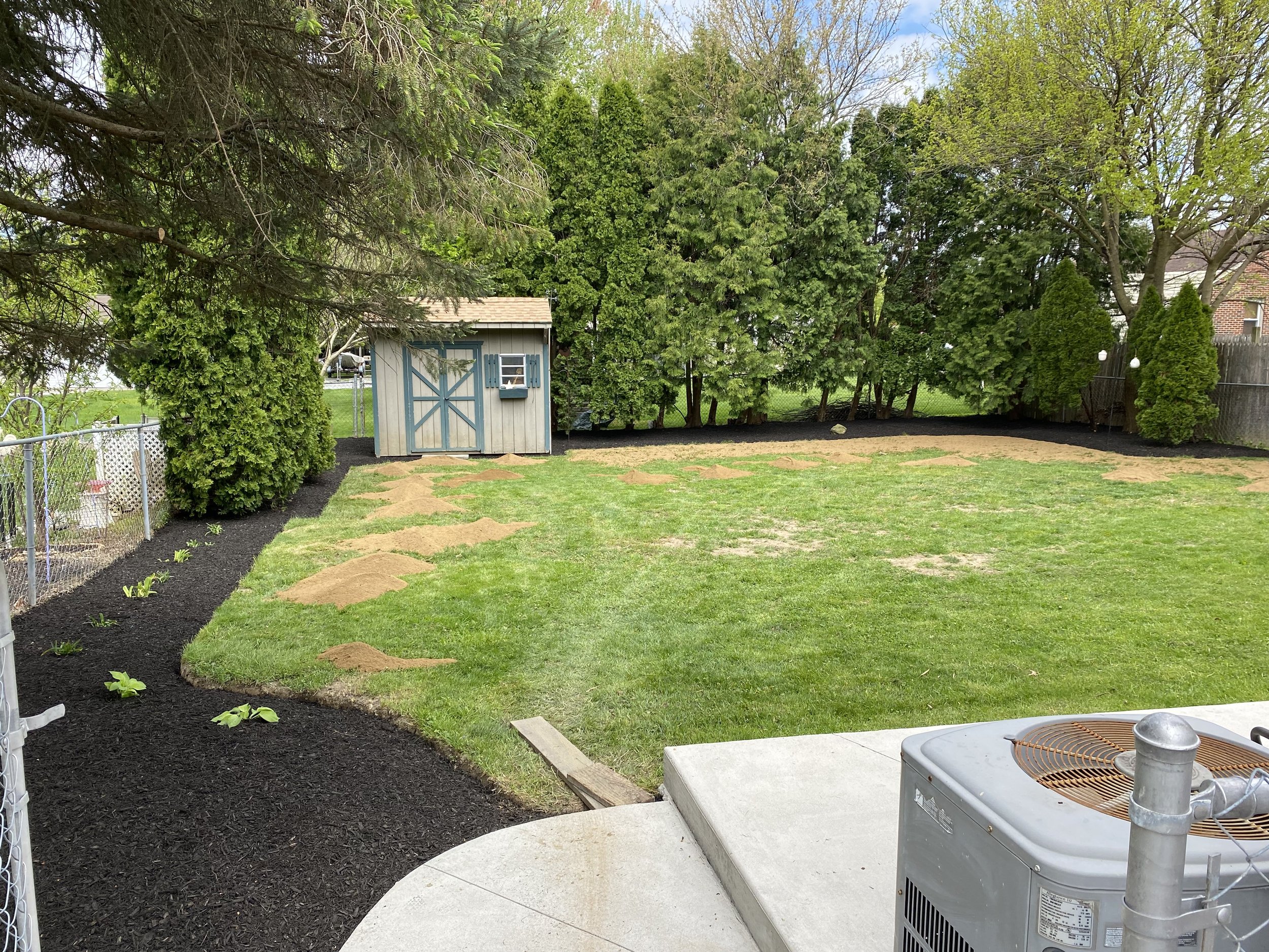 A backyard with a small shed, green trees, and a lawn. A section of black mulch garden bed with small green plants is on the left, and a concrete patio area with a metal grill is on the right. There is a fence and neighboring houses in the background