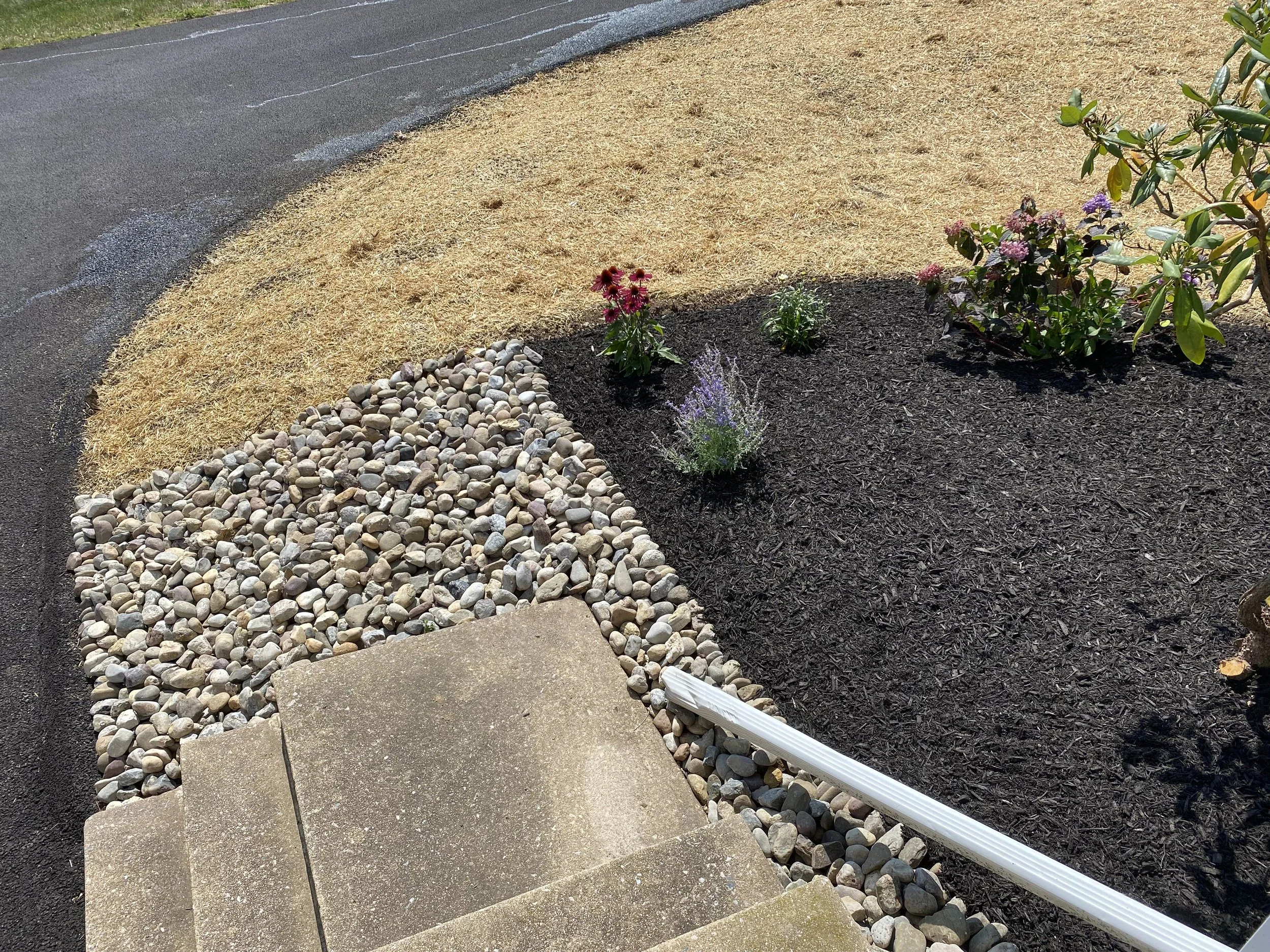 A landscaped yard with a grass area that looks dry, next to a dark asphalt driveway, and decorated with white and multicolored rocks. There are pink and purple flowers and large green shrubbery on the right side.