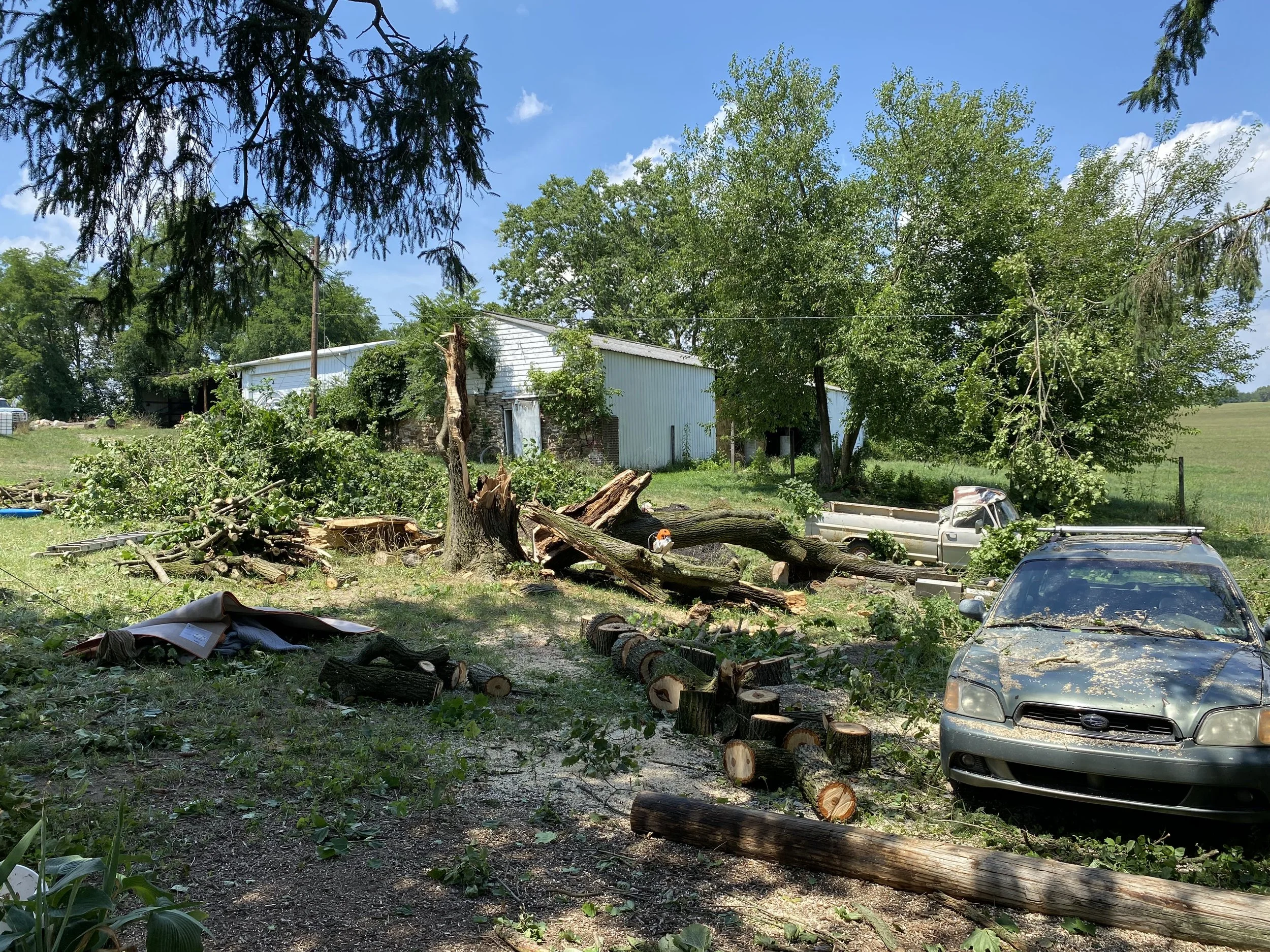 A yard with fallen tree branches and logs, a damaged tree with a split trunk, a silver car with damage, and a white truck in the background under a blue sky with trees.
