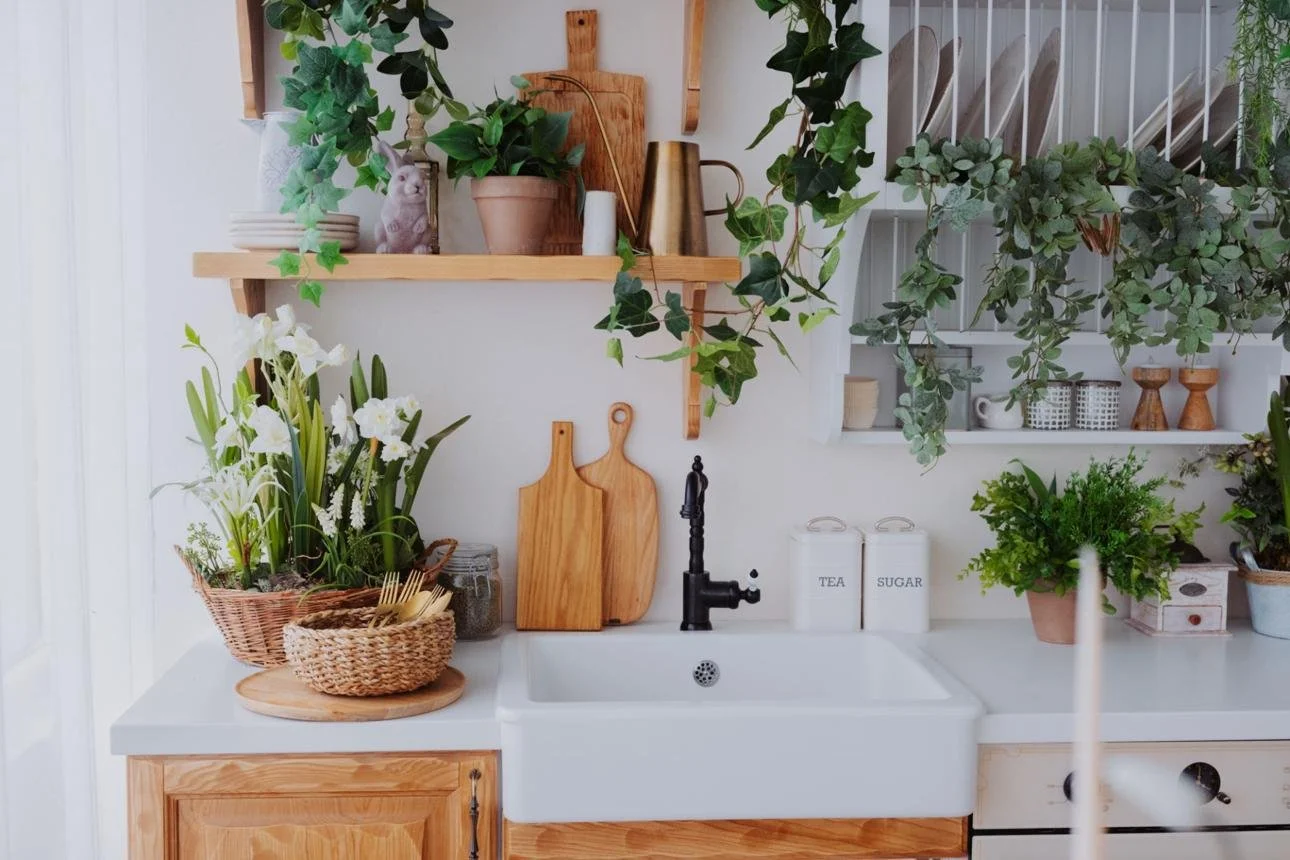 Kitchen with wooden shelves and cabinets, green plants, white farmhouse sink, and various kitchen items like cutting boards, teapot, and jars.