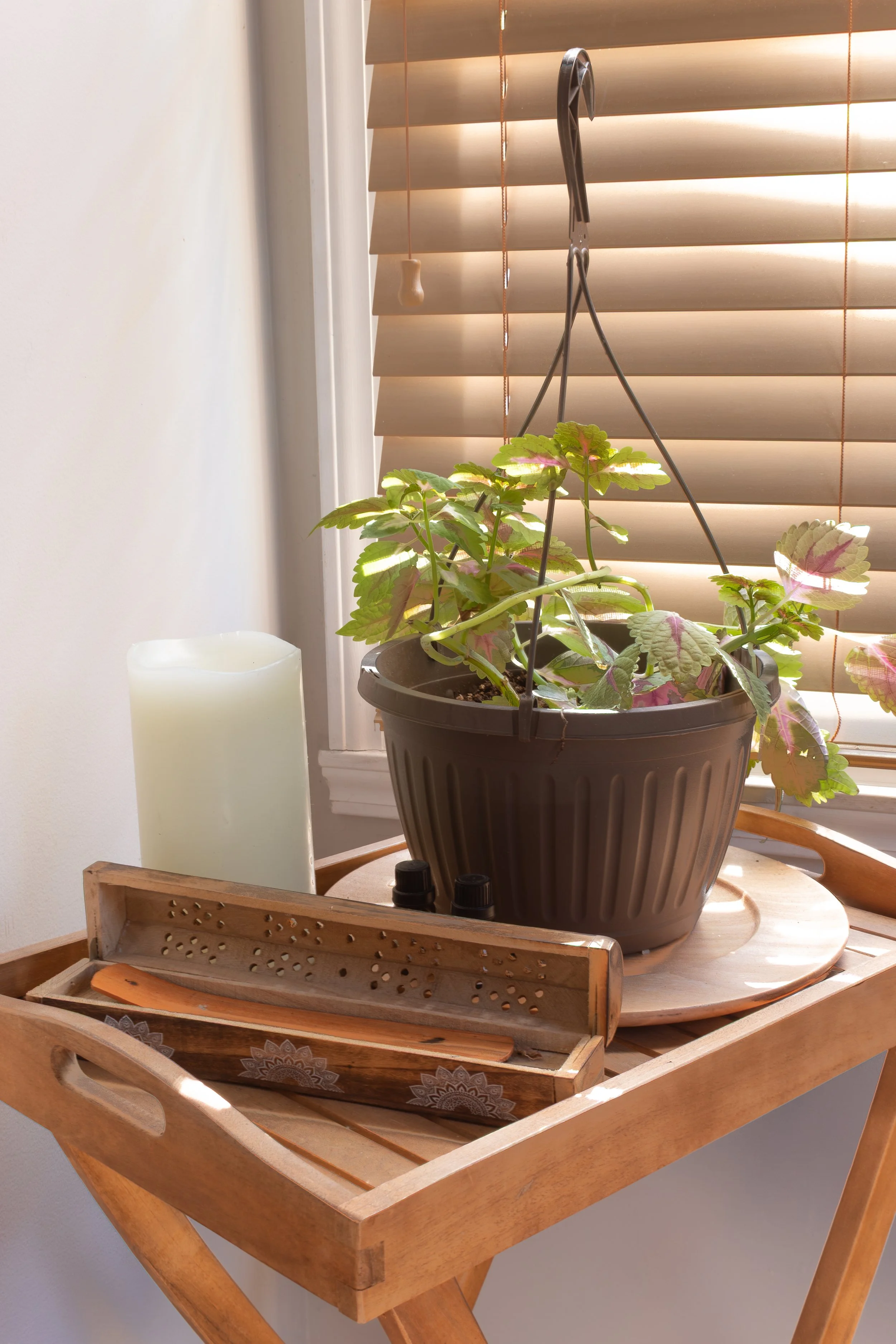 A potted plant with green and purple leaves sits on a wooden table near a window with horizontal blinds. A candle and a wooden tray are also on the table.