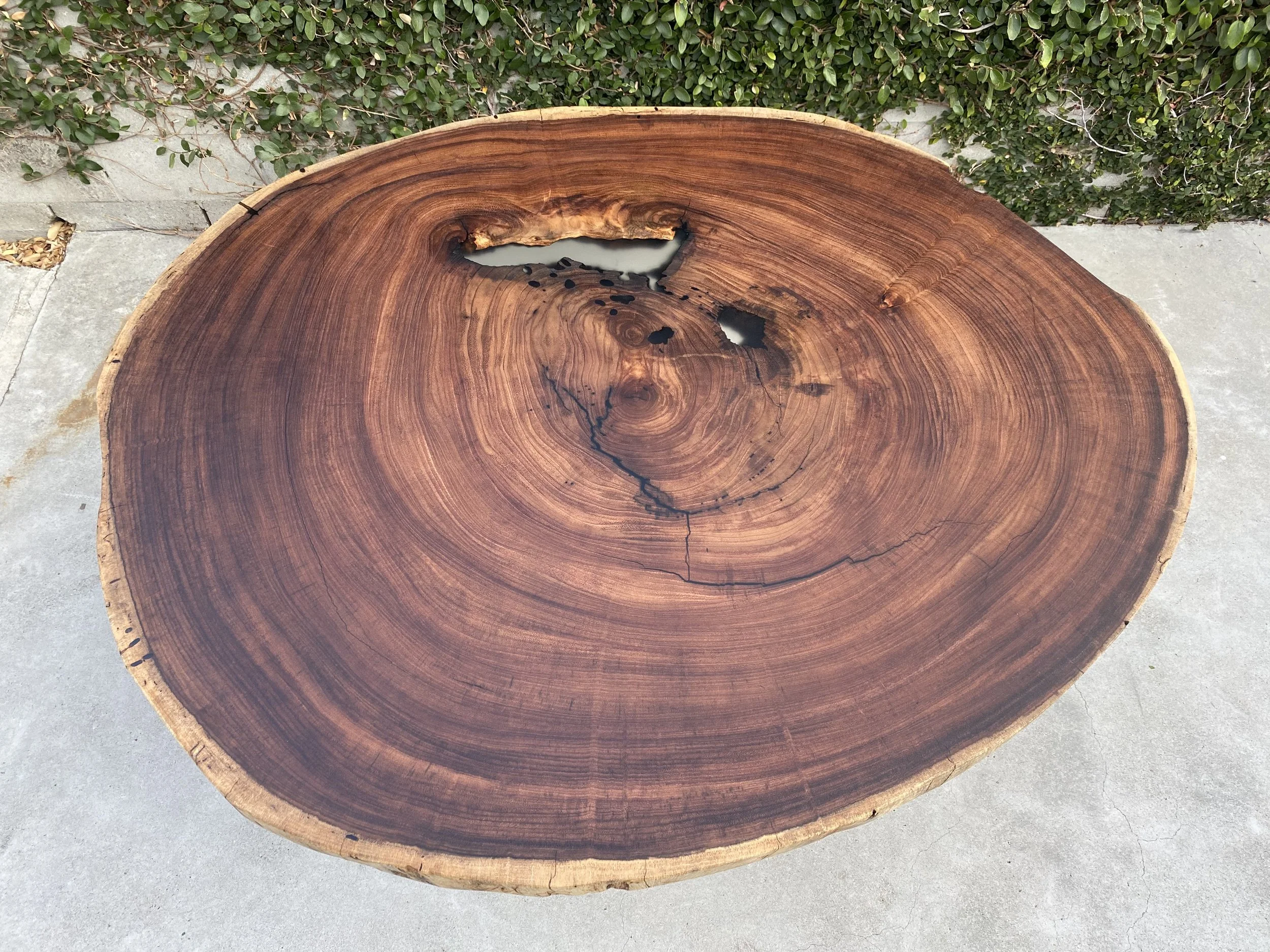 A large round wooden table with concentric circles showing natural wood grain, a crack, and a wood knot, situated outdoors on concrete paving with green hedge in background.