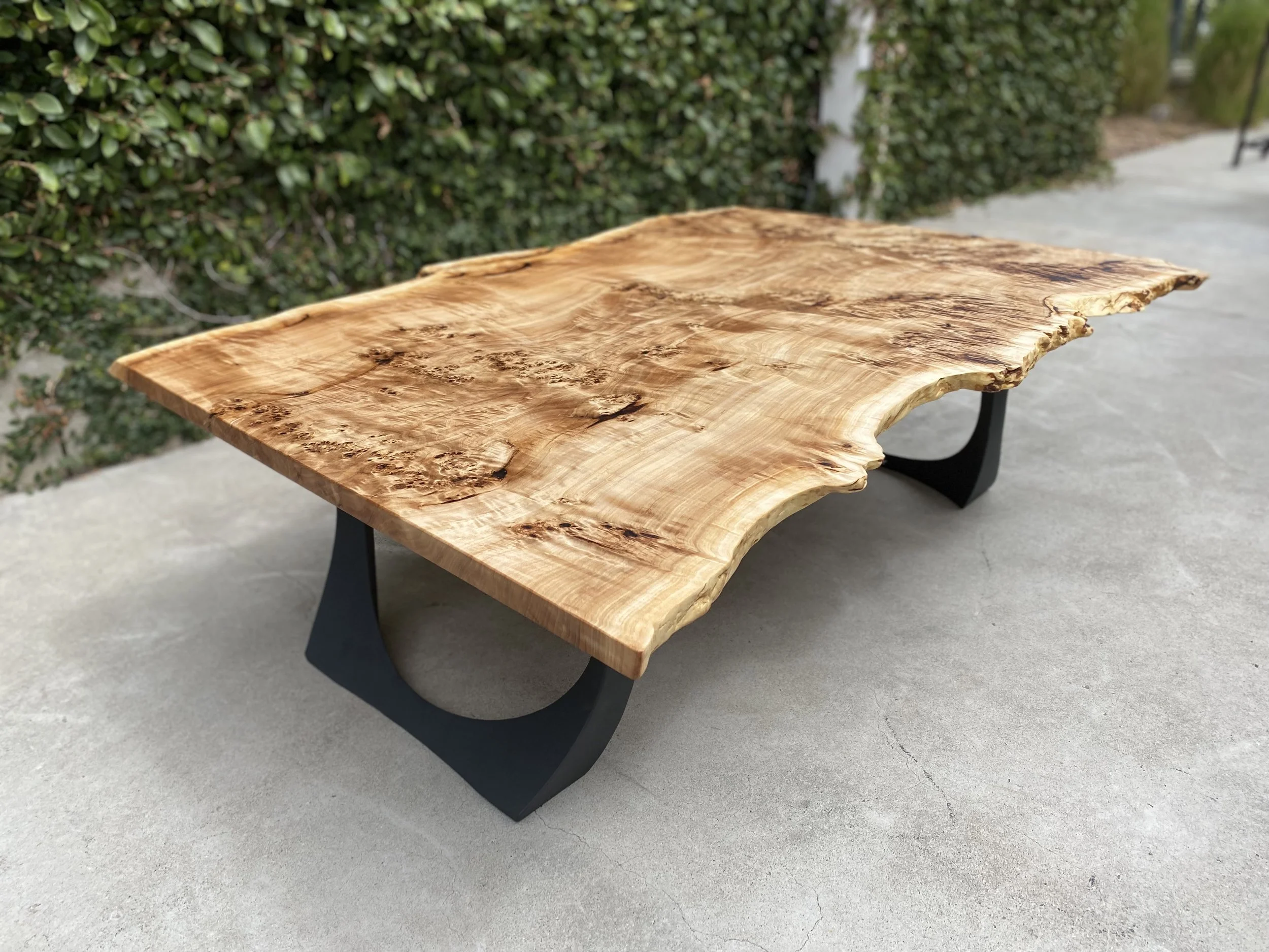 Mappa Burl Coffee Table