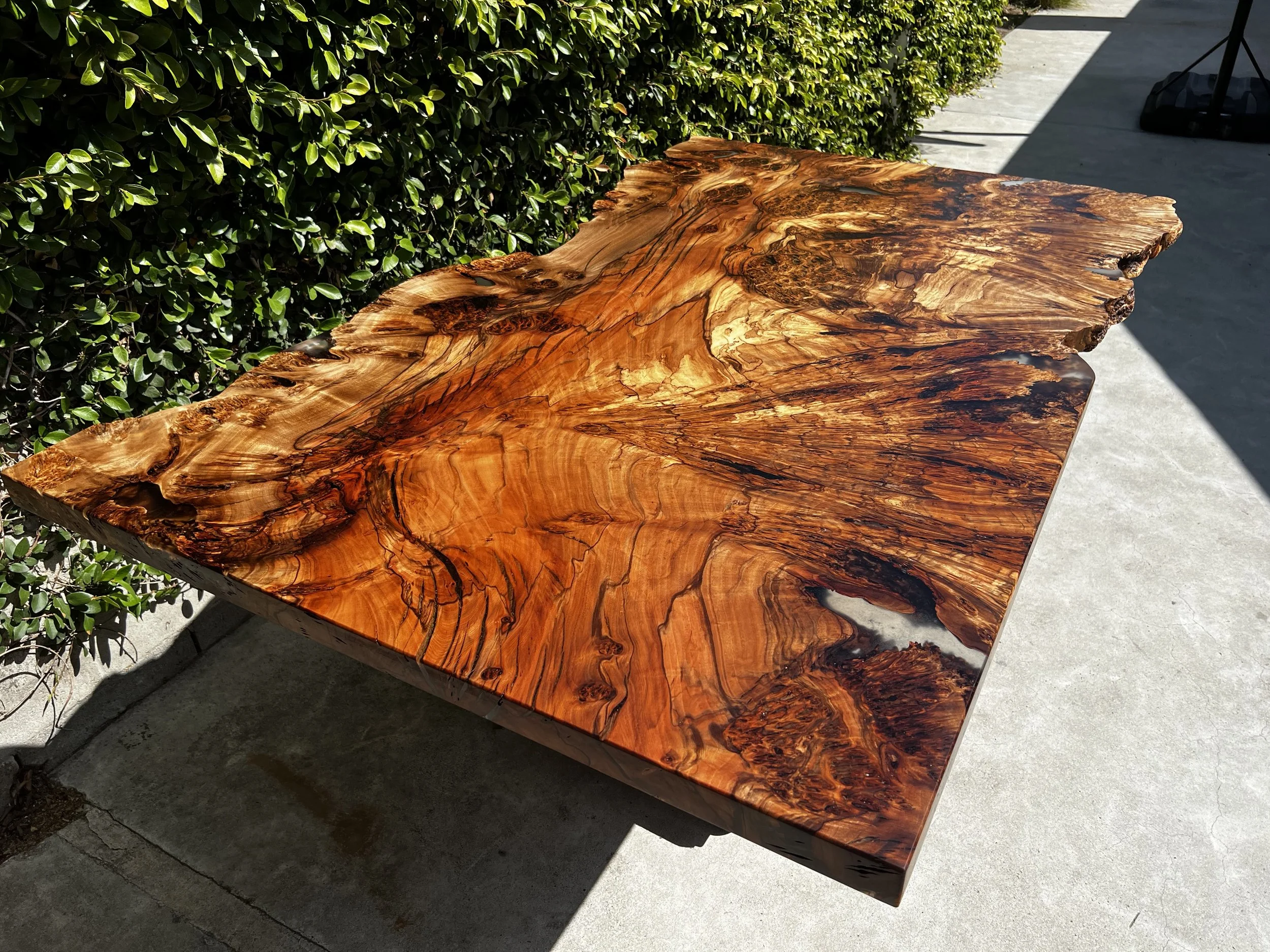 A polished wooden table with a natural, irregular edge sits outdoors on a concrete surface next to a hedge of green leaves. The table's surface displays intricate swirling patterns and coloration.